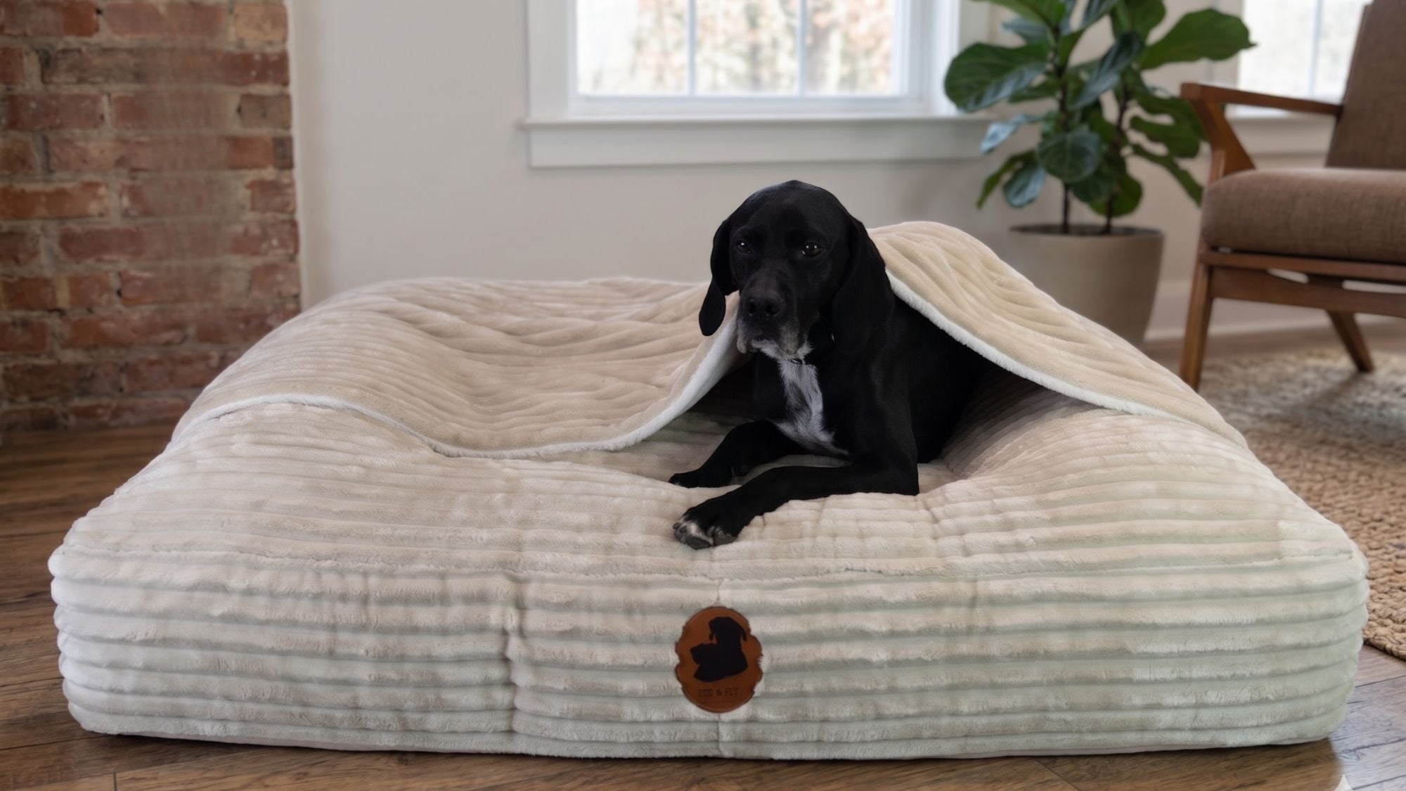Wau-Cave Hundehhle fr dein orthopdisches Hundebett I EMMY & PEPE   EMMY&PEPE