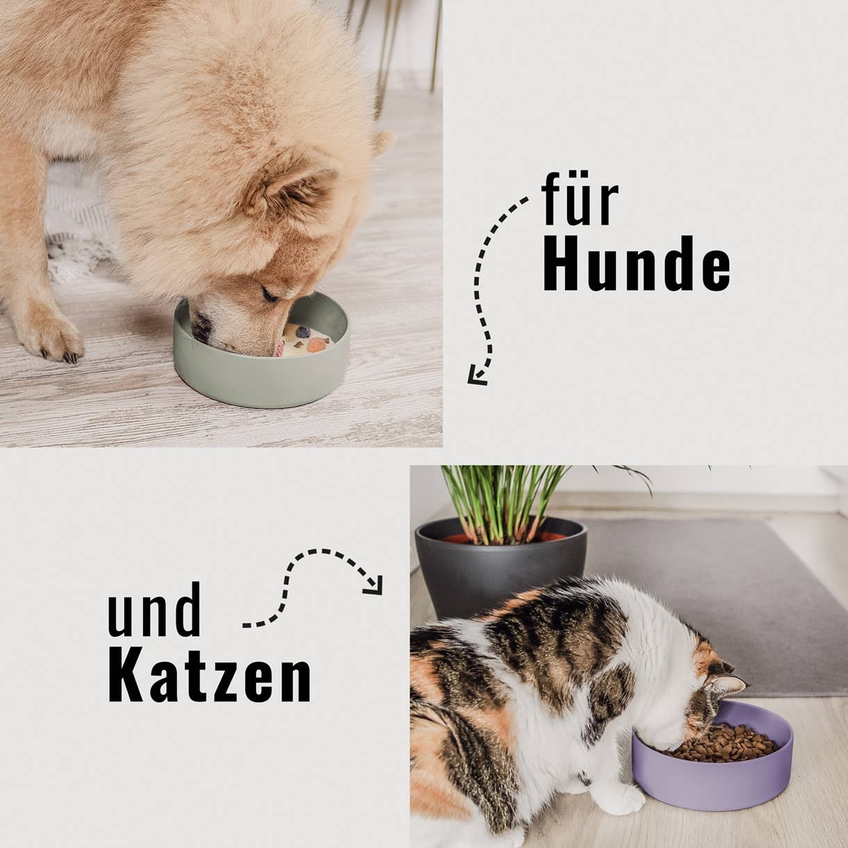 Silikon-Futternapf – Rutschfest