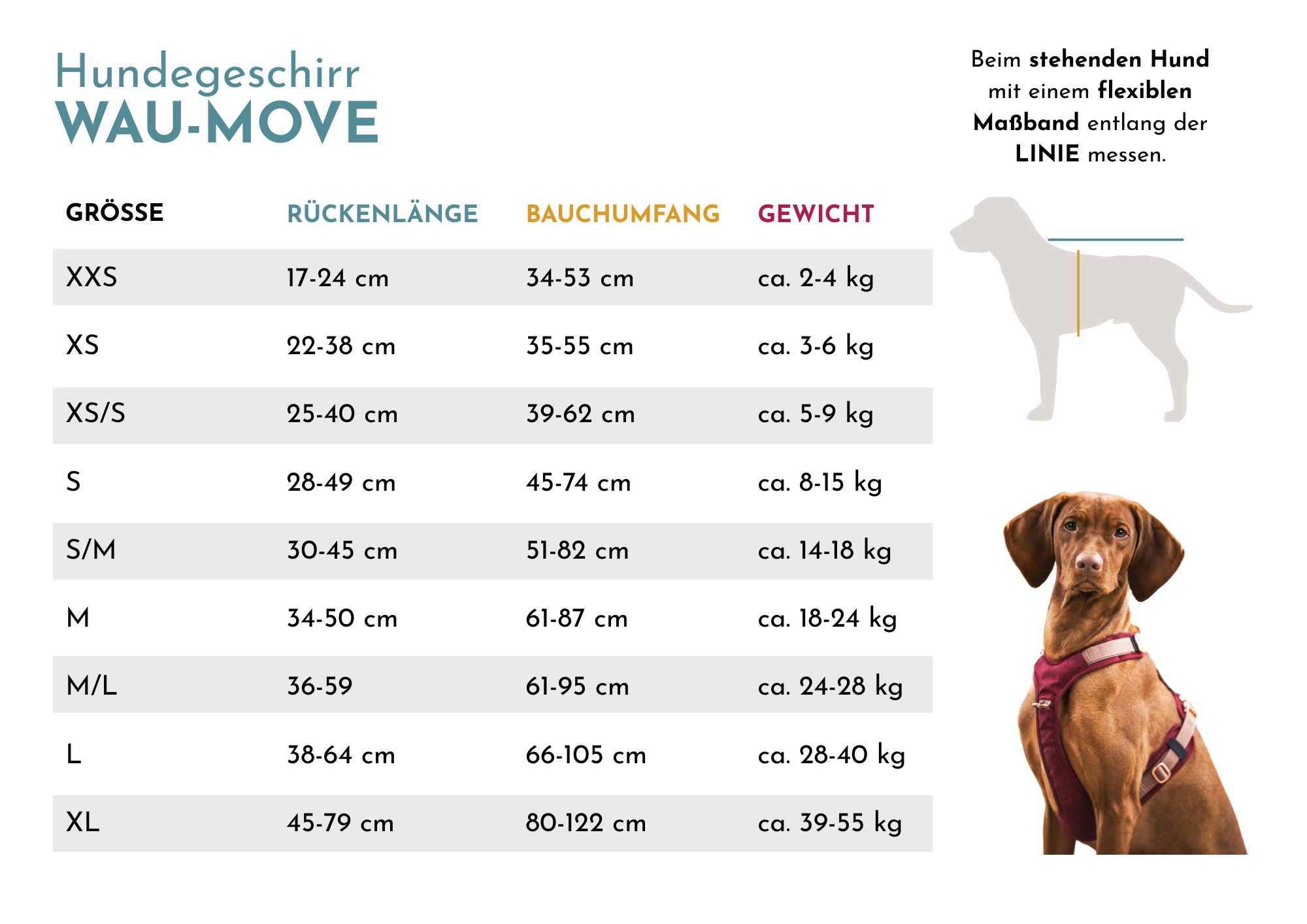 Hundegeschirr "Wau-Effekt" Black