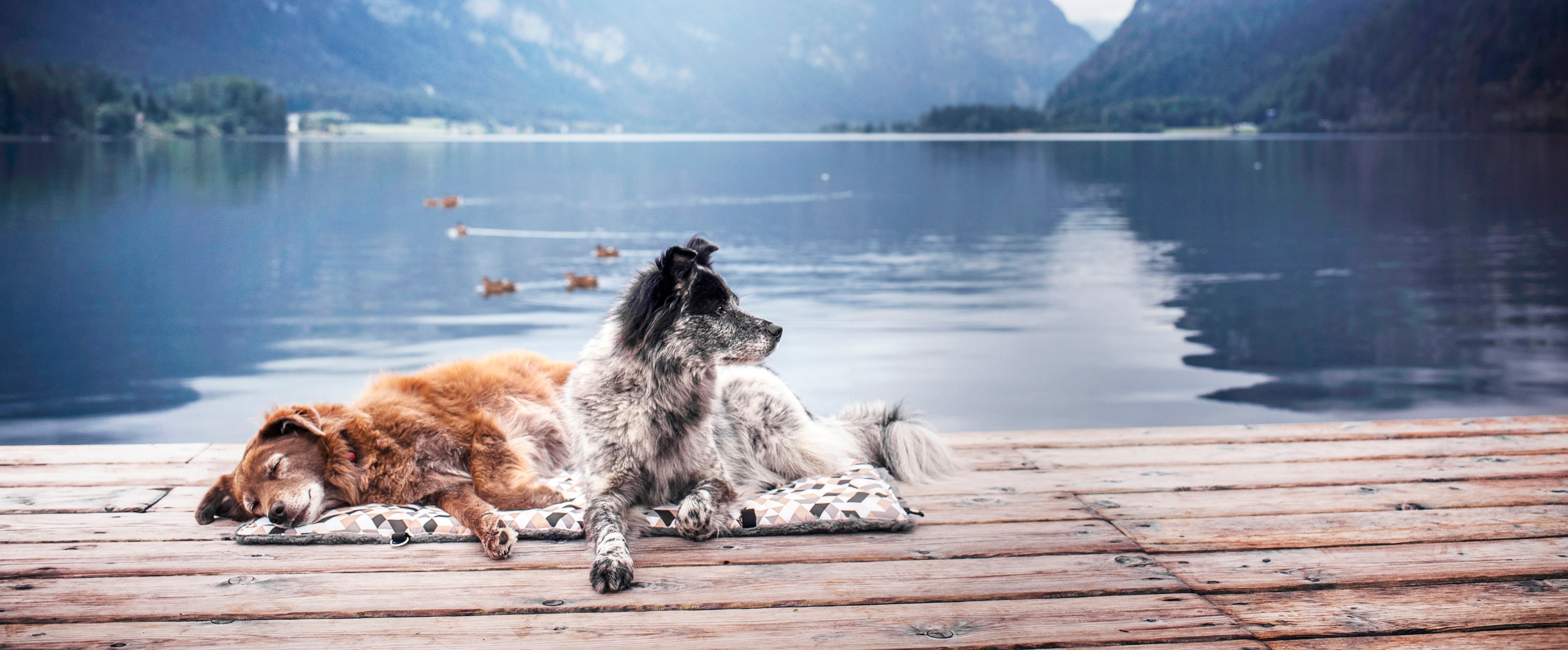 Meine Urlaubs-Live-Hacks