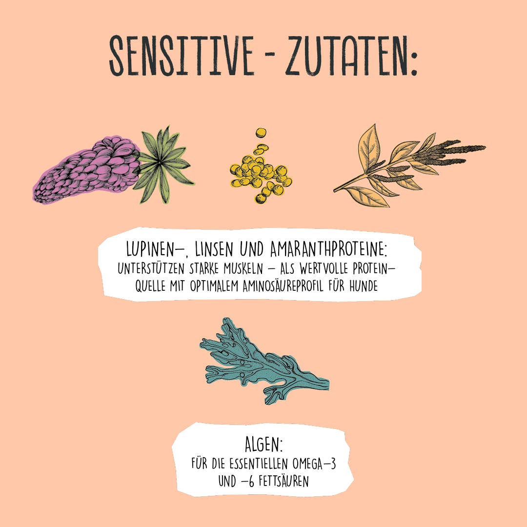 SENSITIVE Lupinenprotein
