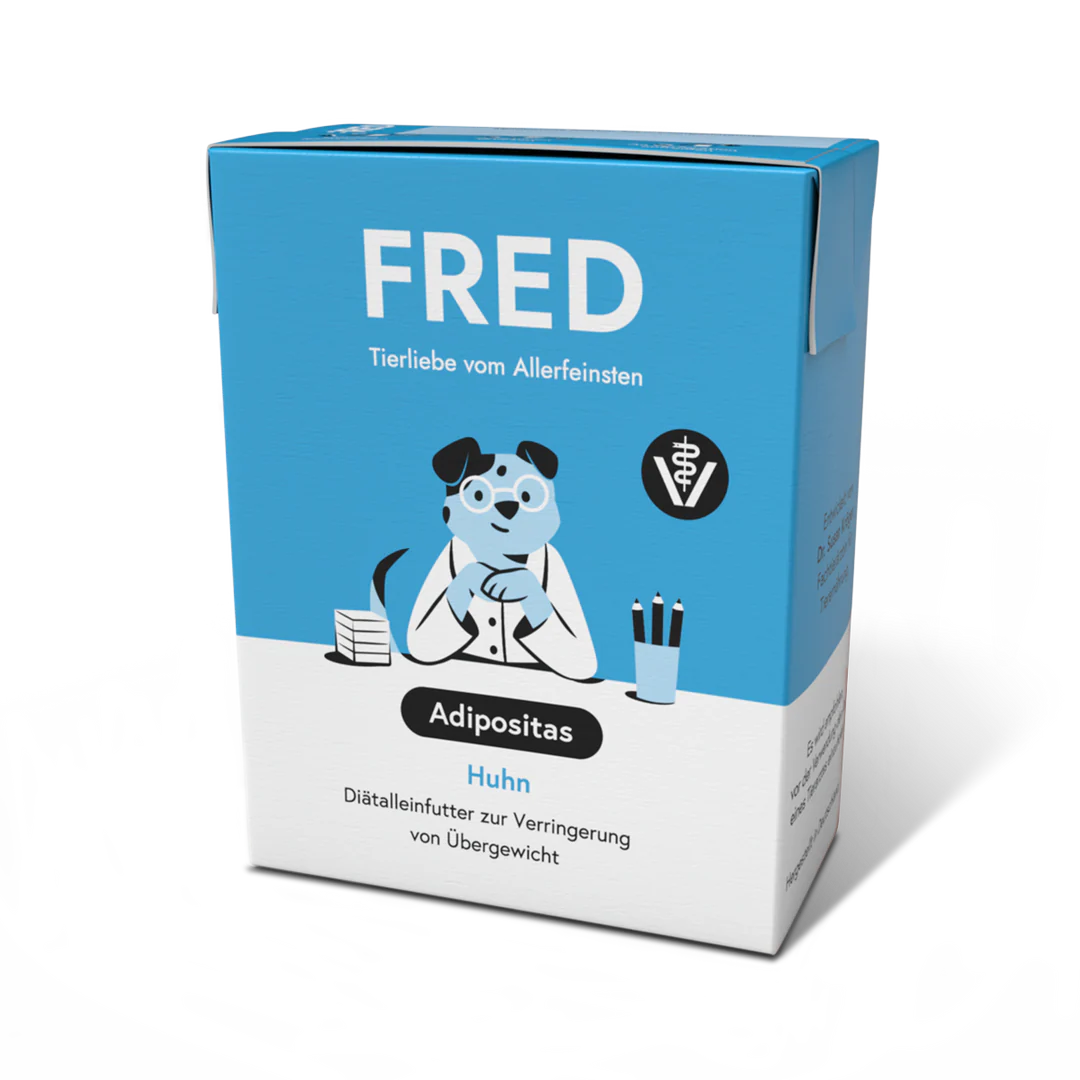 FRED Beef with Noodles