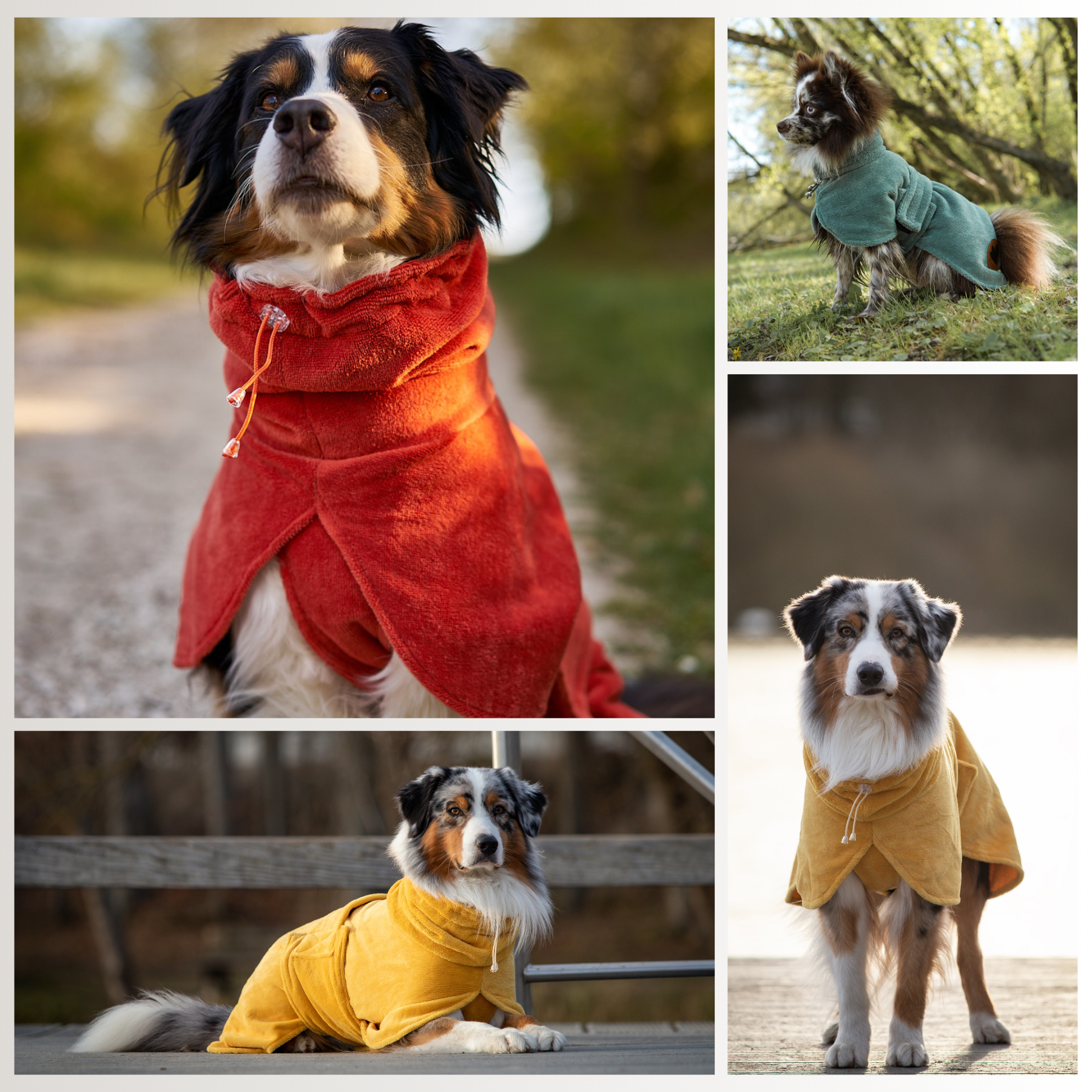 Dog bathrobe made of bamboo fiber, rose
