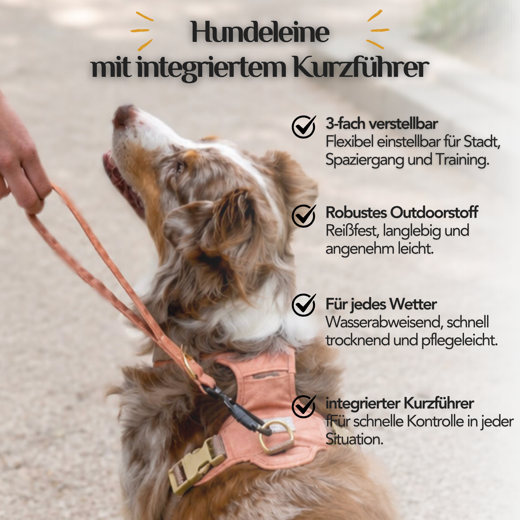 Hund trägt Geschirr und wird mit der Hundeleine mit integriertem Kurzführer von EMMY & PEPE geführt. Die 3-fach verstellbare Leine aus Outdoorstoff bietet Sicherheit und Komfort im Alltag.