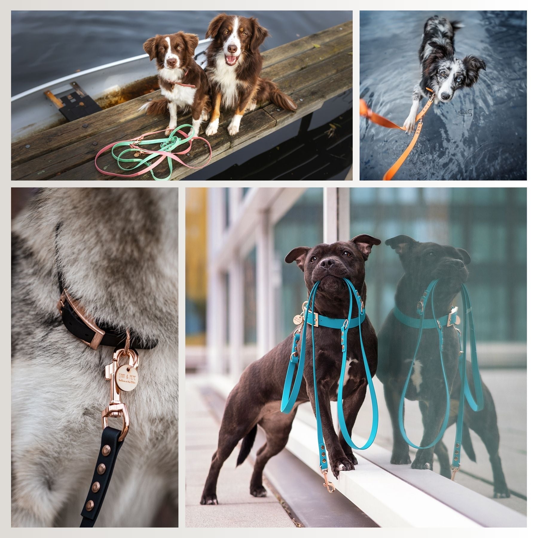 Collage mit verschiedenen Hunden, die ein Biothane Halsband von EMMY & PEPE tragen – beim Spaziergang, im Wasser und im Alltag. Das wasserfeste Hundehalsband aus Biothane in verschiedenen Farben und Größen.