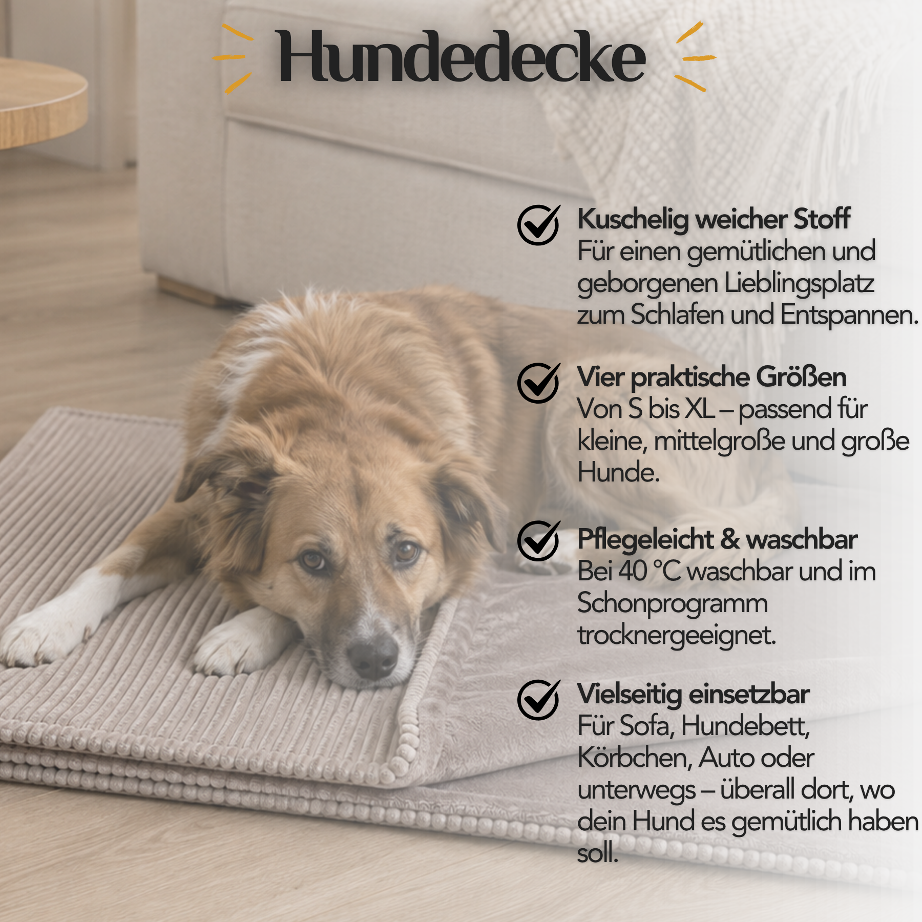 Vorteile der Hundedecke