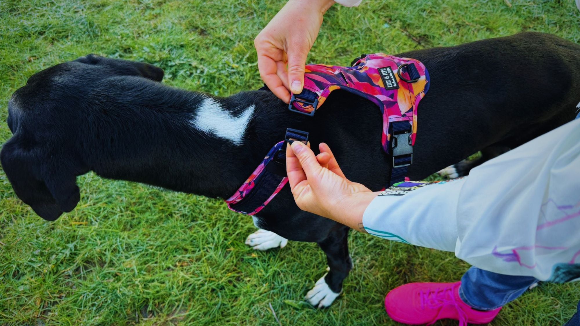 Wau-Move Hundegeschirr in Pink mit geöffneter Halsöffnung — anlegen ohne Drüberziehen