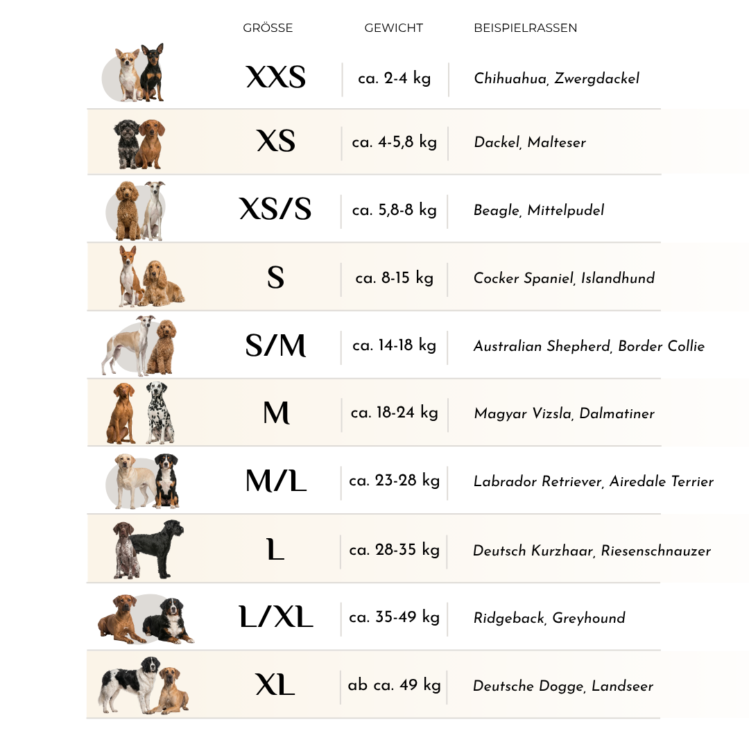 Größentabelle für das WAU-MOVE Hundegeschirr mit Größen XXS bis XL, Gewichtsangaben und Beispielrassen zur Auswahl der passenden Größe.