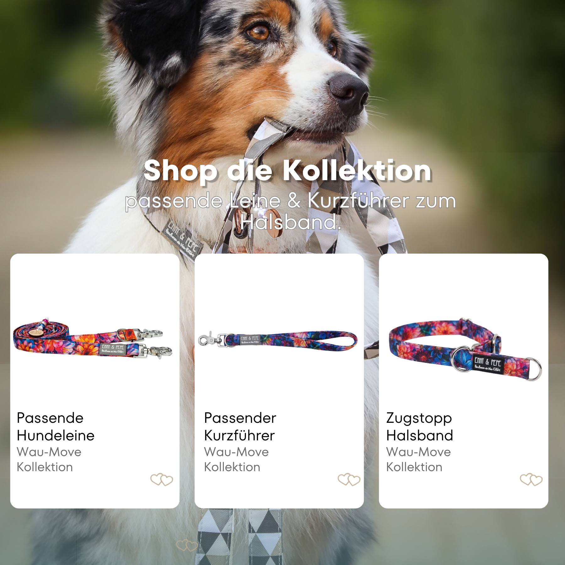 Dahlia dog collar