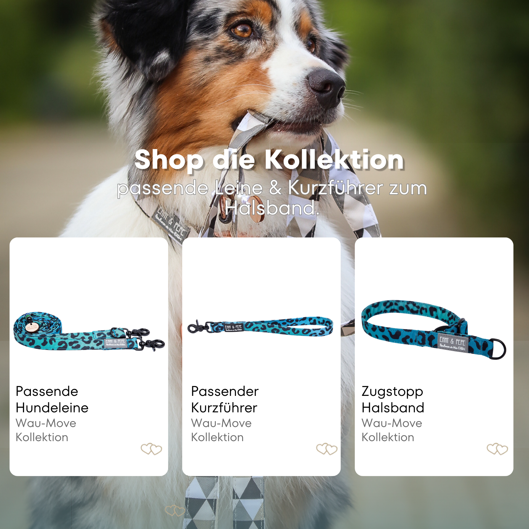 Hundehalsband Leo Aqua