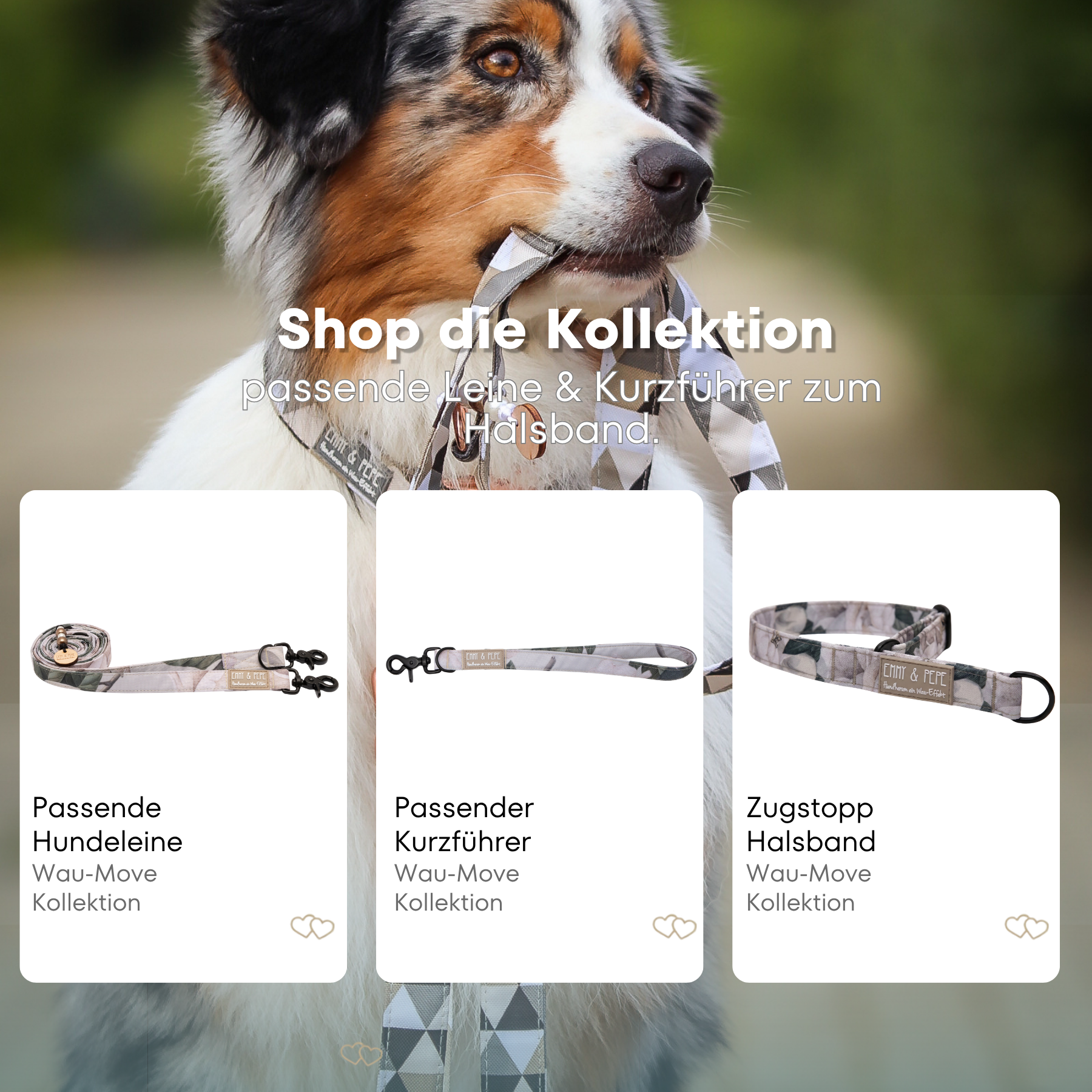 Hundehalsband Magnolia