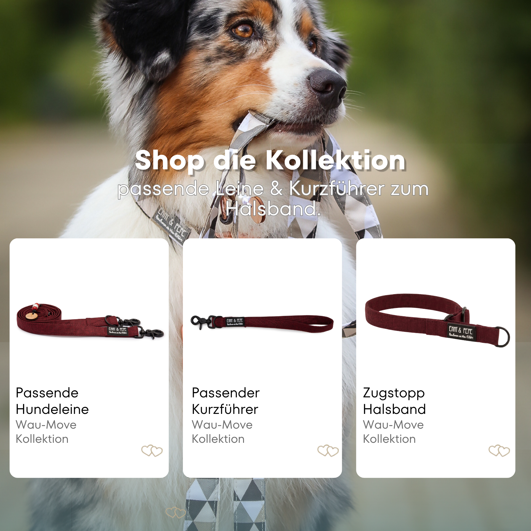 Hundehalsband Velvet