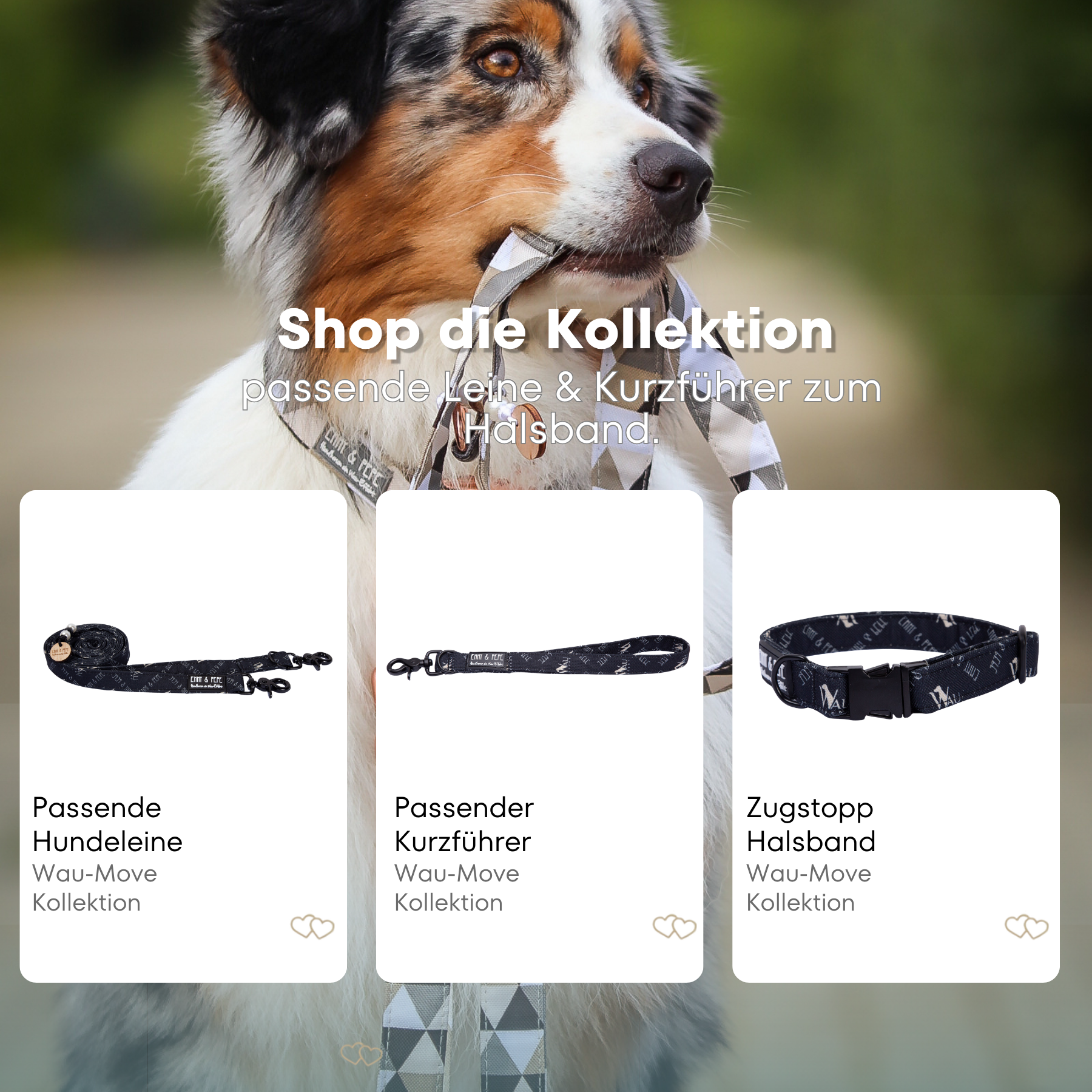 Dog collar "Woof Effect" Black