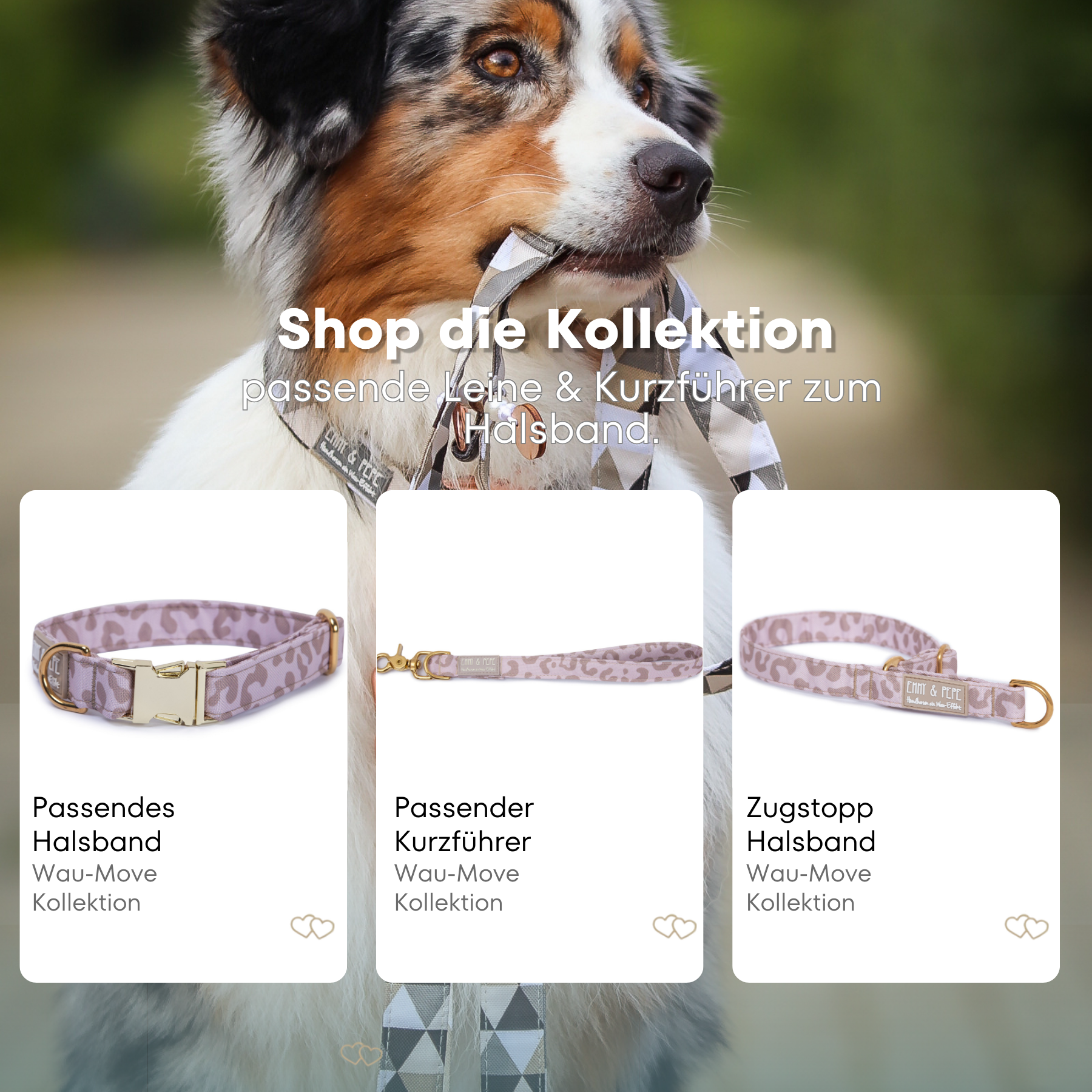 Hundehalsband Leo Creme 2.0