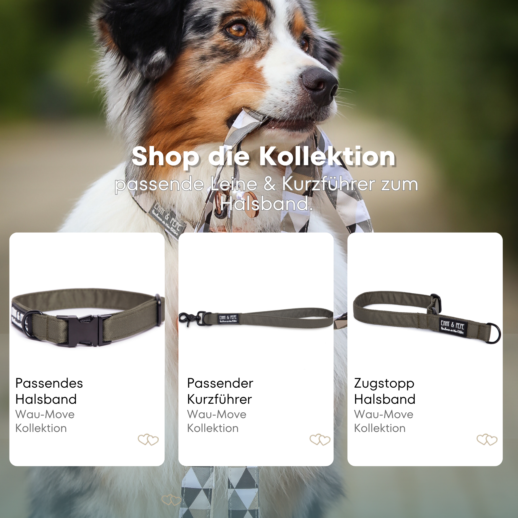 Lothar's dog leash