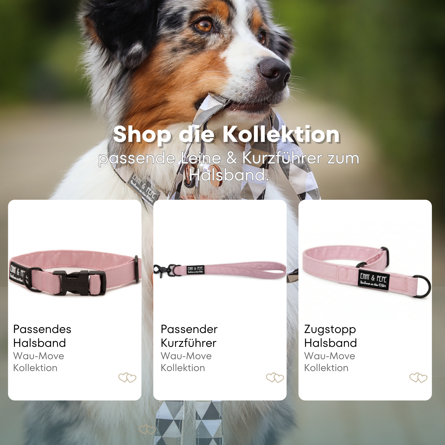 Hundehalsband Rosi