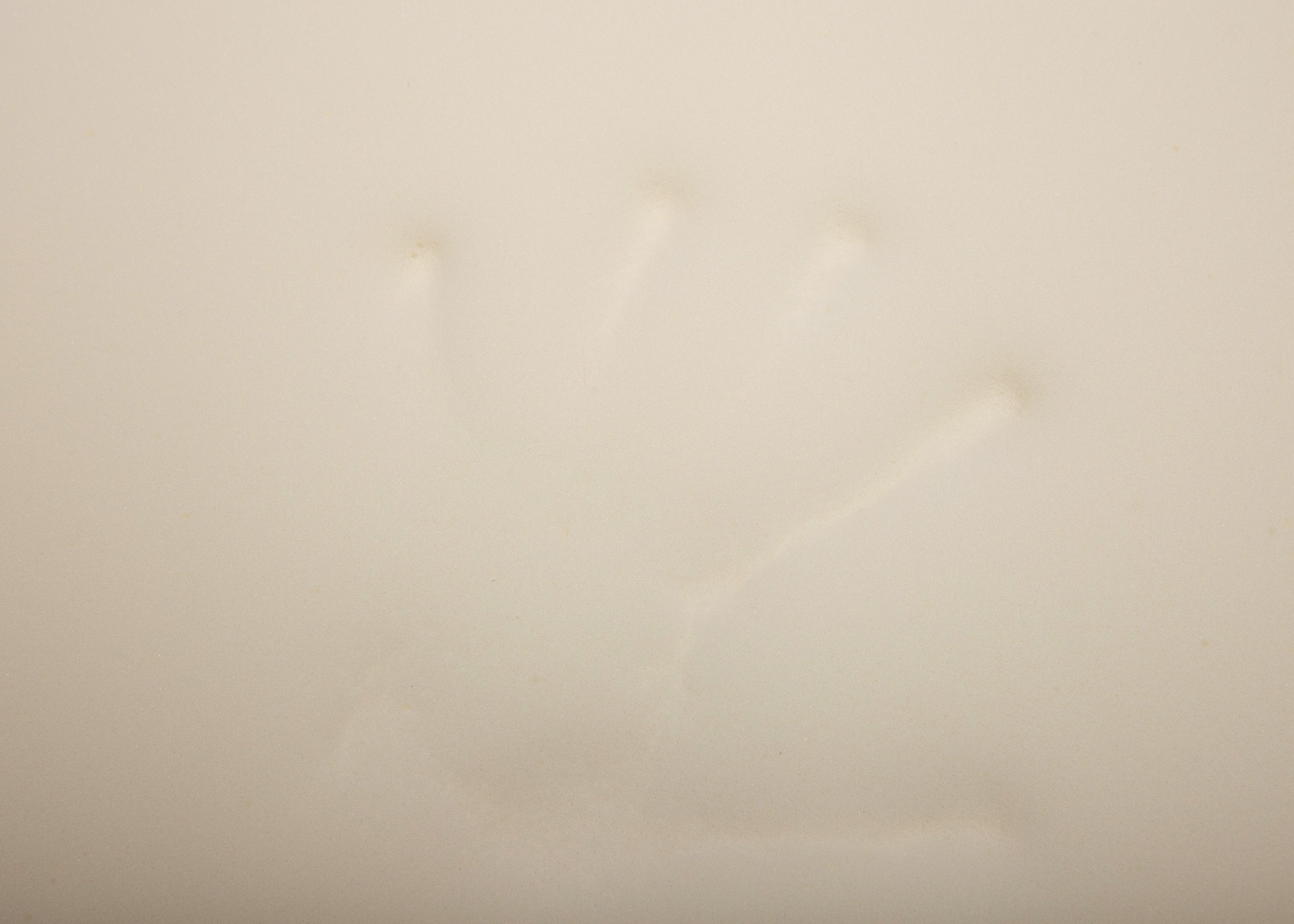 orthopädische Matte für Wau-Snuggle Cord