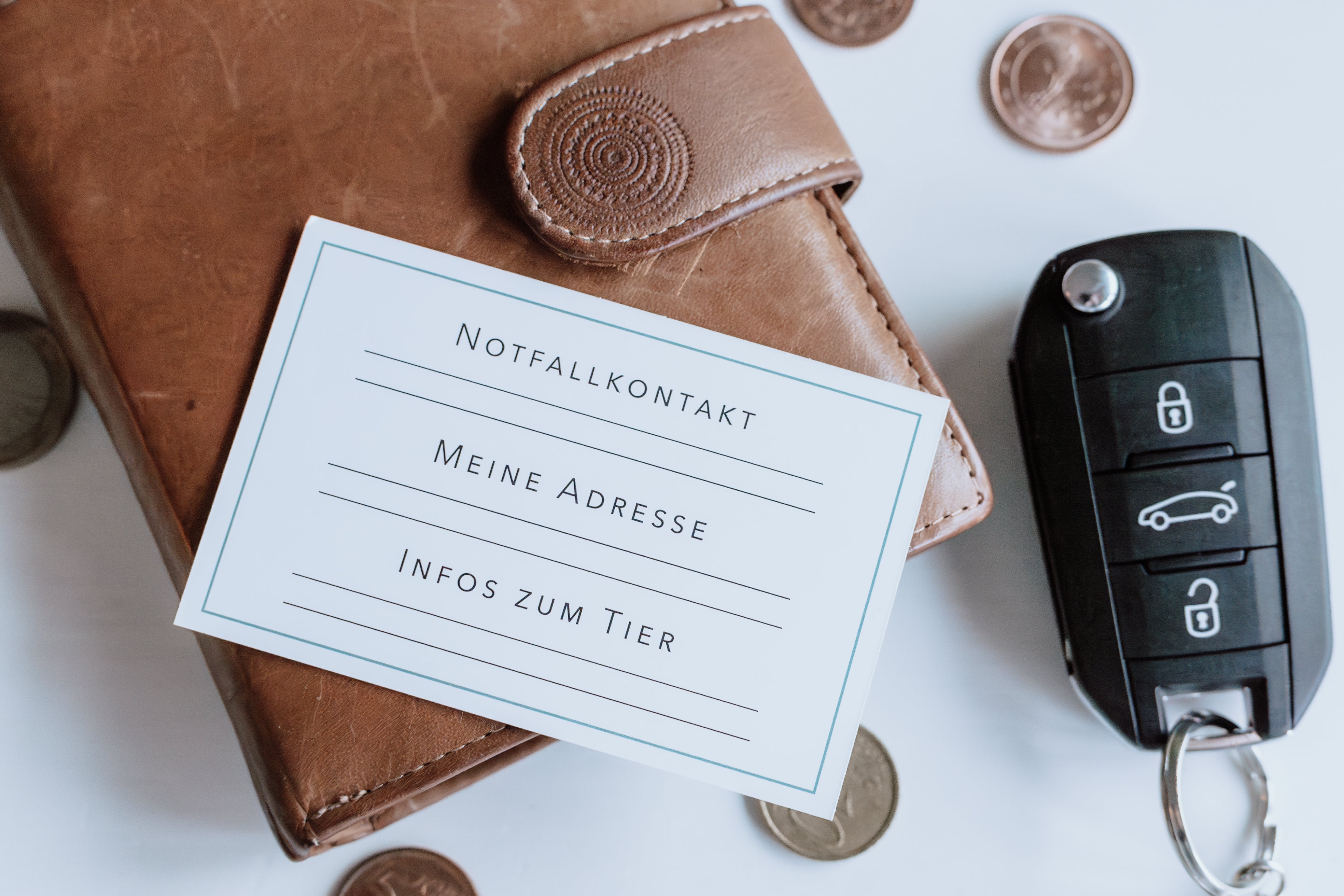 Notfallkarte für Haustiere