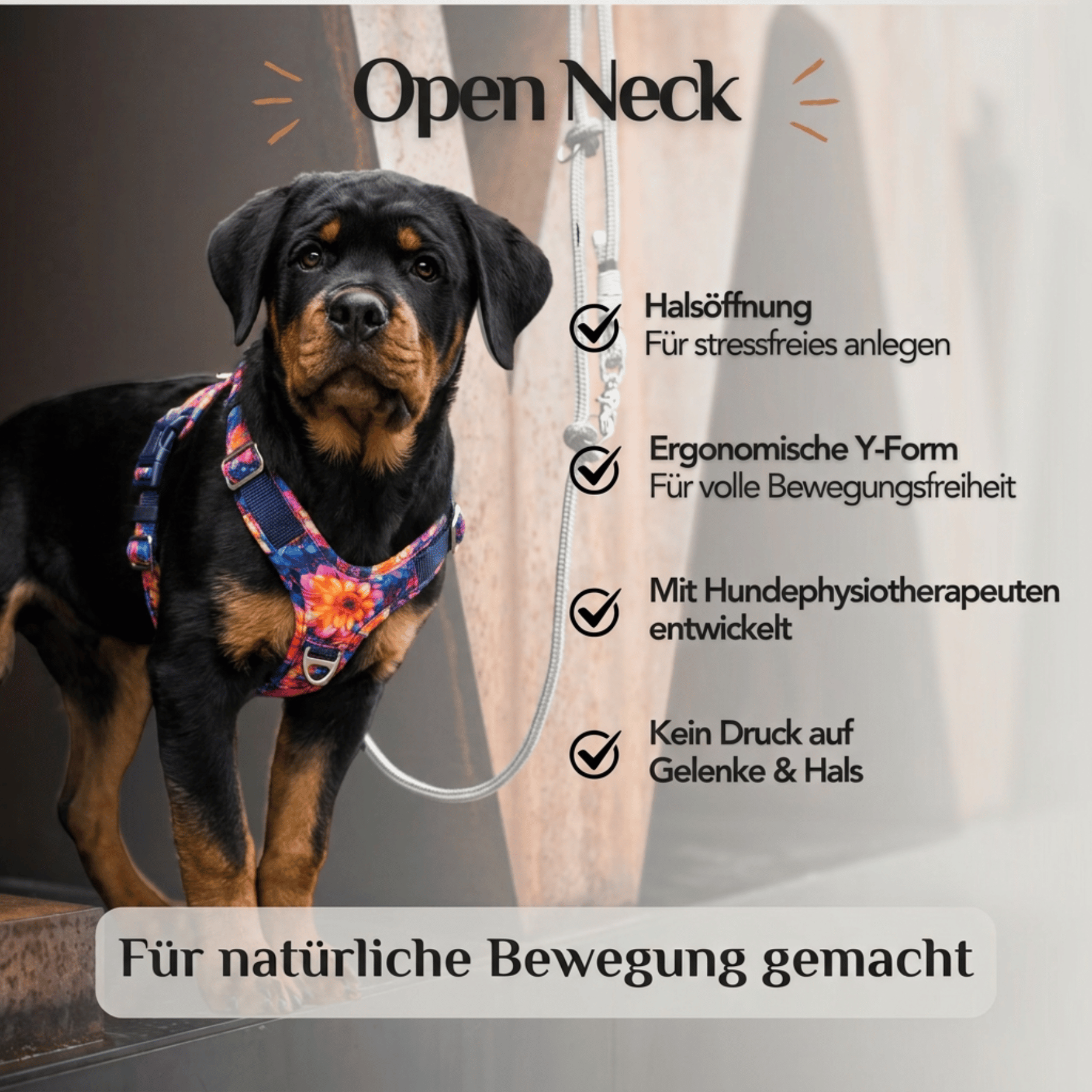 Hundegeschirr mit Halsöffnung Dahlia