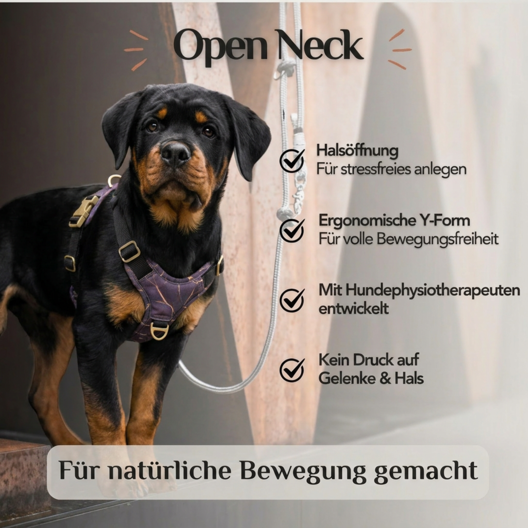 Hundegeschirr mit Halsöffnung Golden Plum