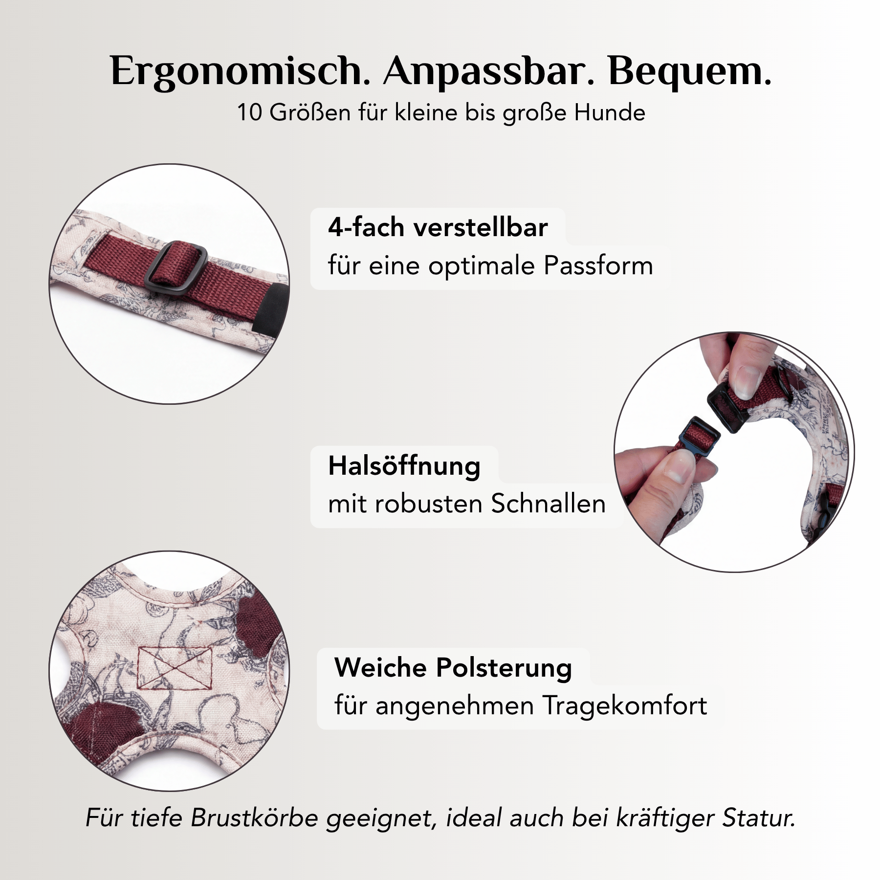 Hundegeschirr mit Halsöffnung Karte der E&P
