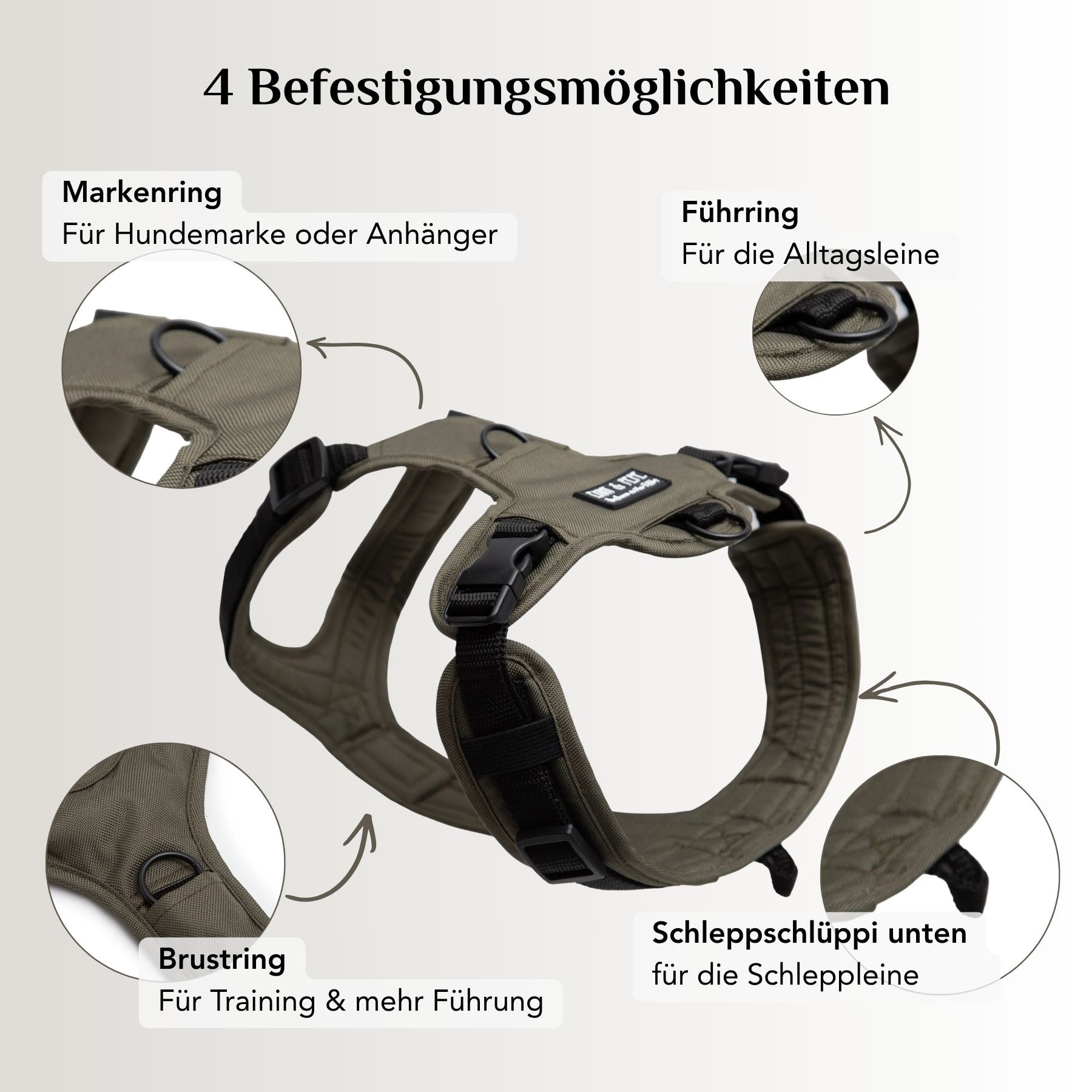 Lothar dog harness