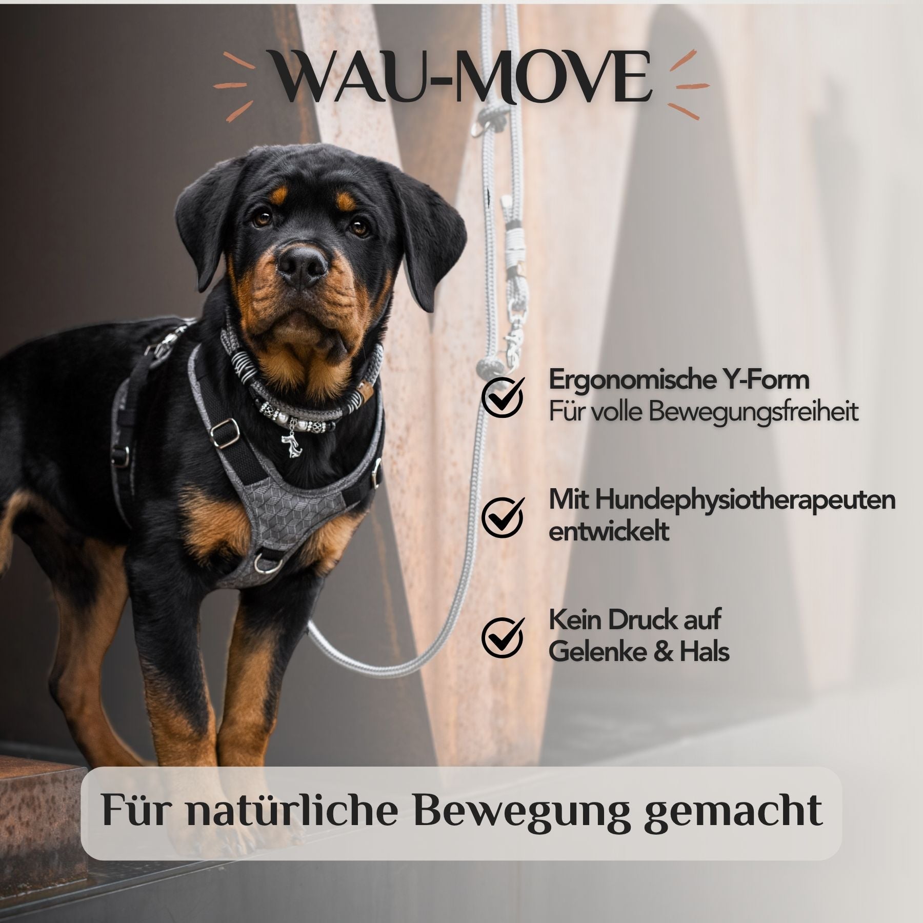 Hundegeschirr Hazel