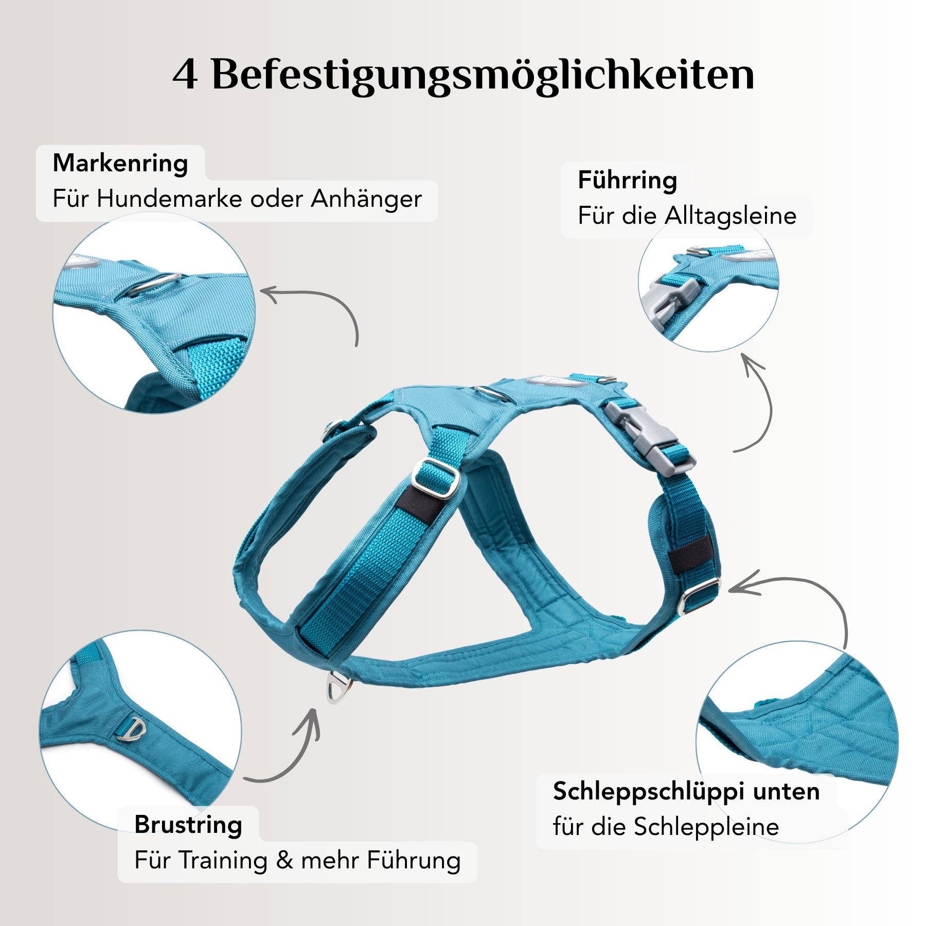 Emmy & Pepe Hundegeschirr Aqua mit 4 Befestigungsmöglichkeiten: Markenring, Führring, Brustring und Schlaufe für die Schleppleine