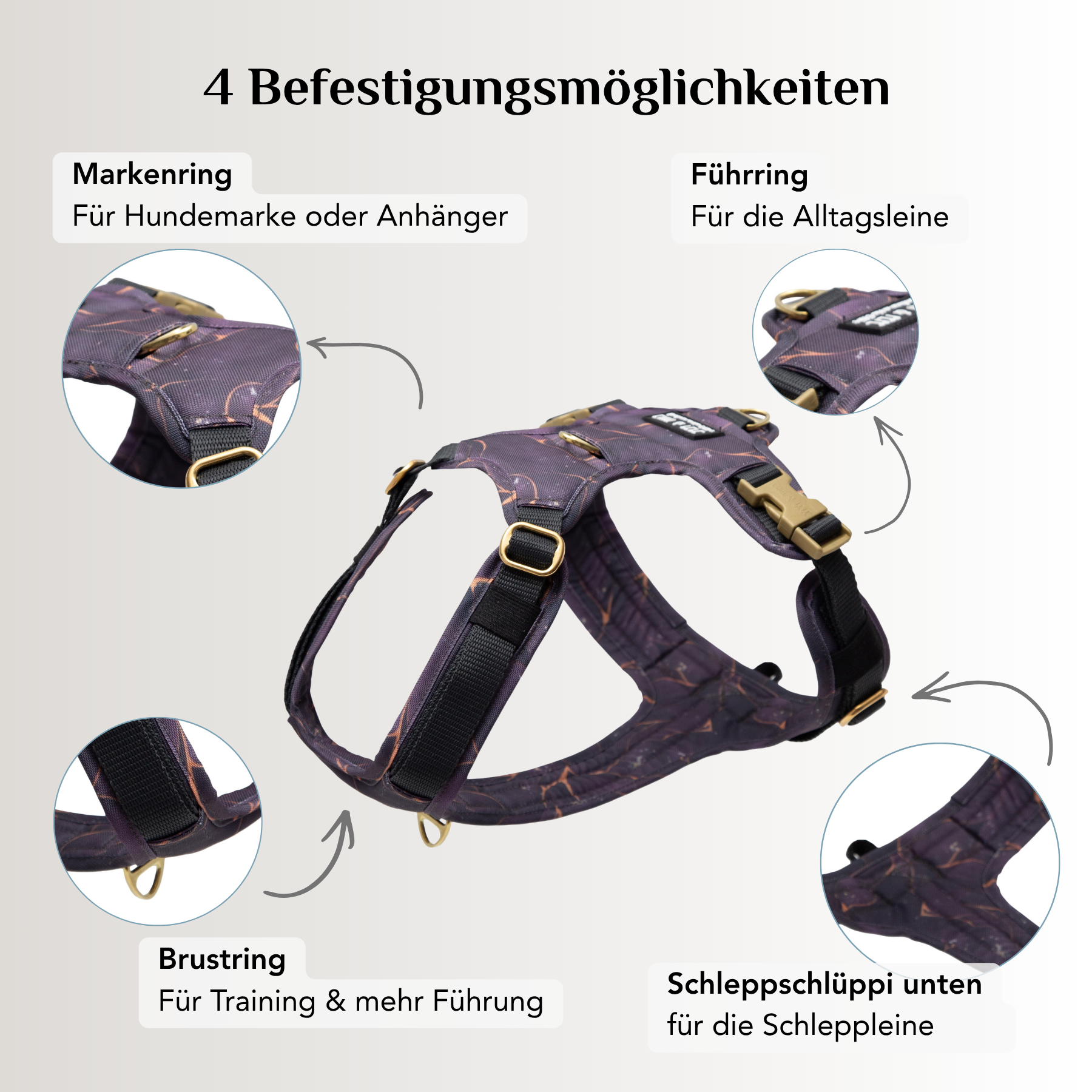 Emmy & Pepe Hundegeschirr Golden Plum mit 4 Befestigungsmöglichkeiten: Markenring, Führring, Brustring und Schlaufe für die Schleppleine