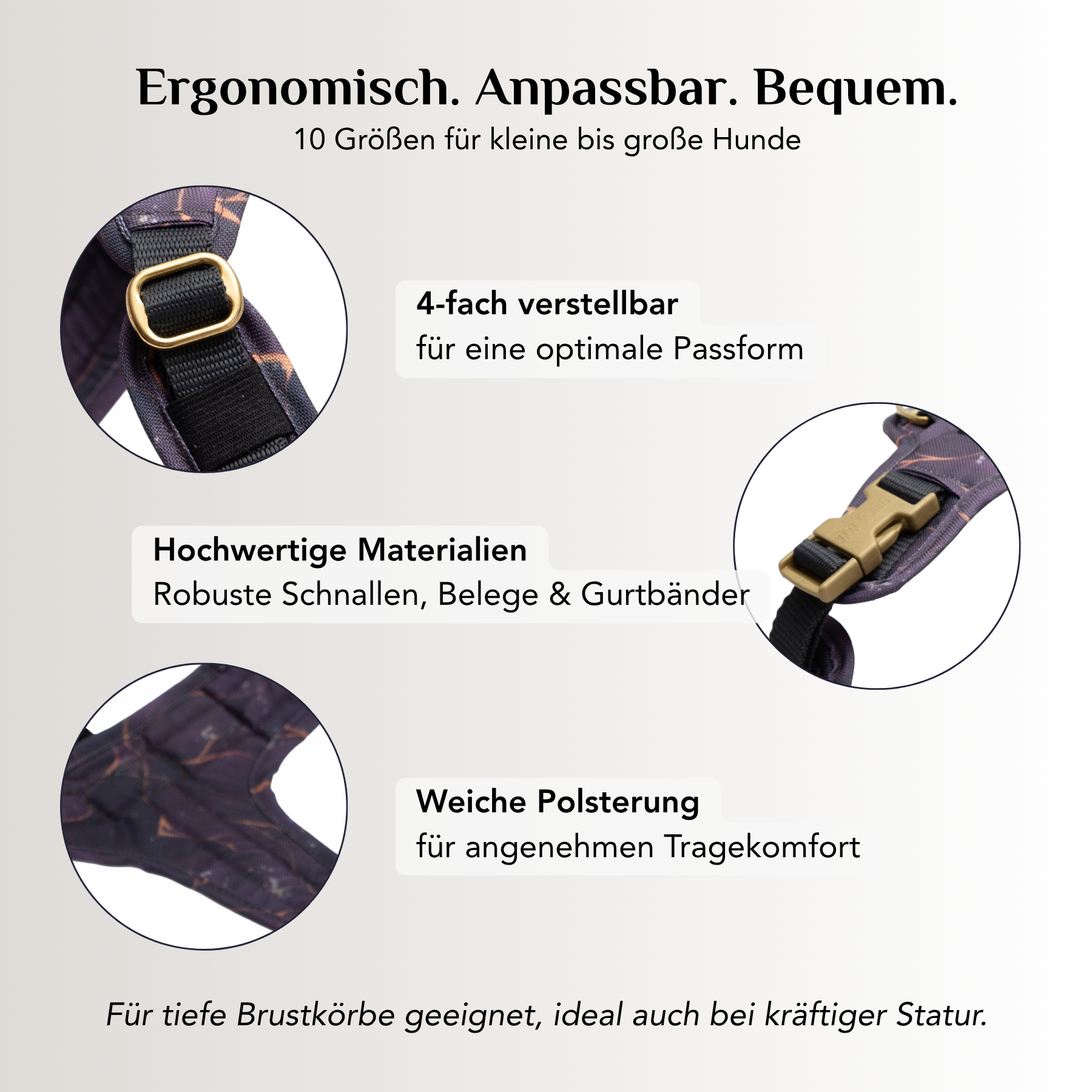 Ergonomisches Emmy & Pepe Hundegeschirr Golden Plum mit 4-fach verstellbaren Riemen, goldenen Schnallen und weicher Polsterung in 10 Größen