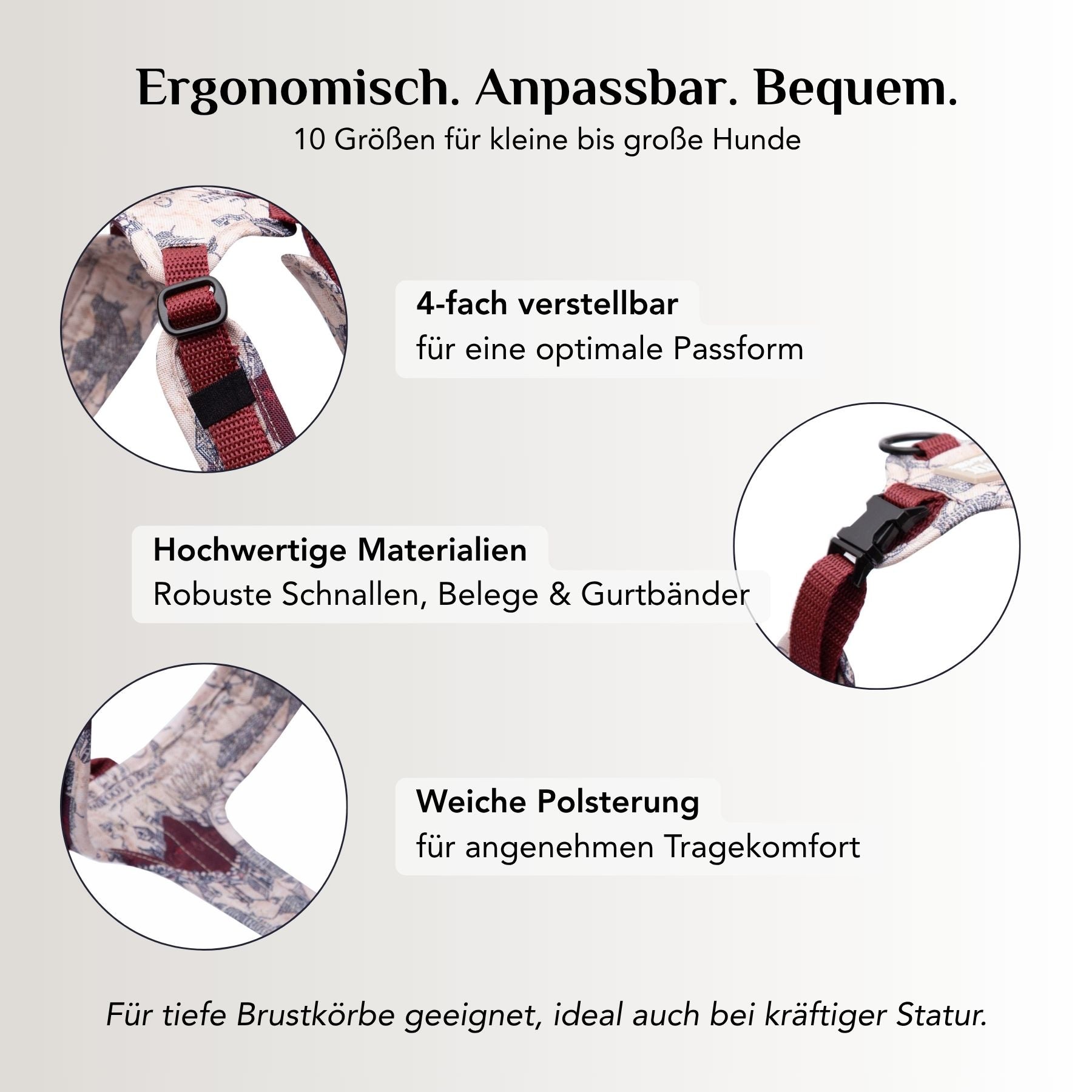 Hundegeschirr Karte der E&P