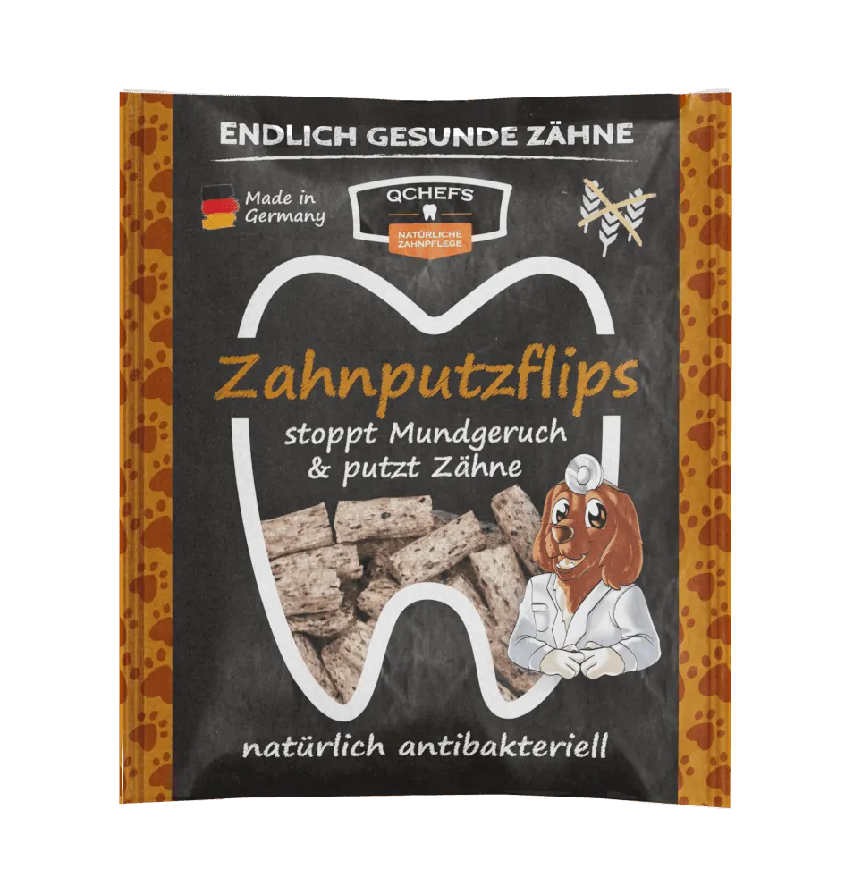 QCHEFS Zahnputzflips (Hund)