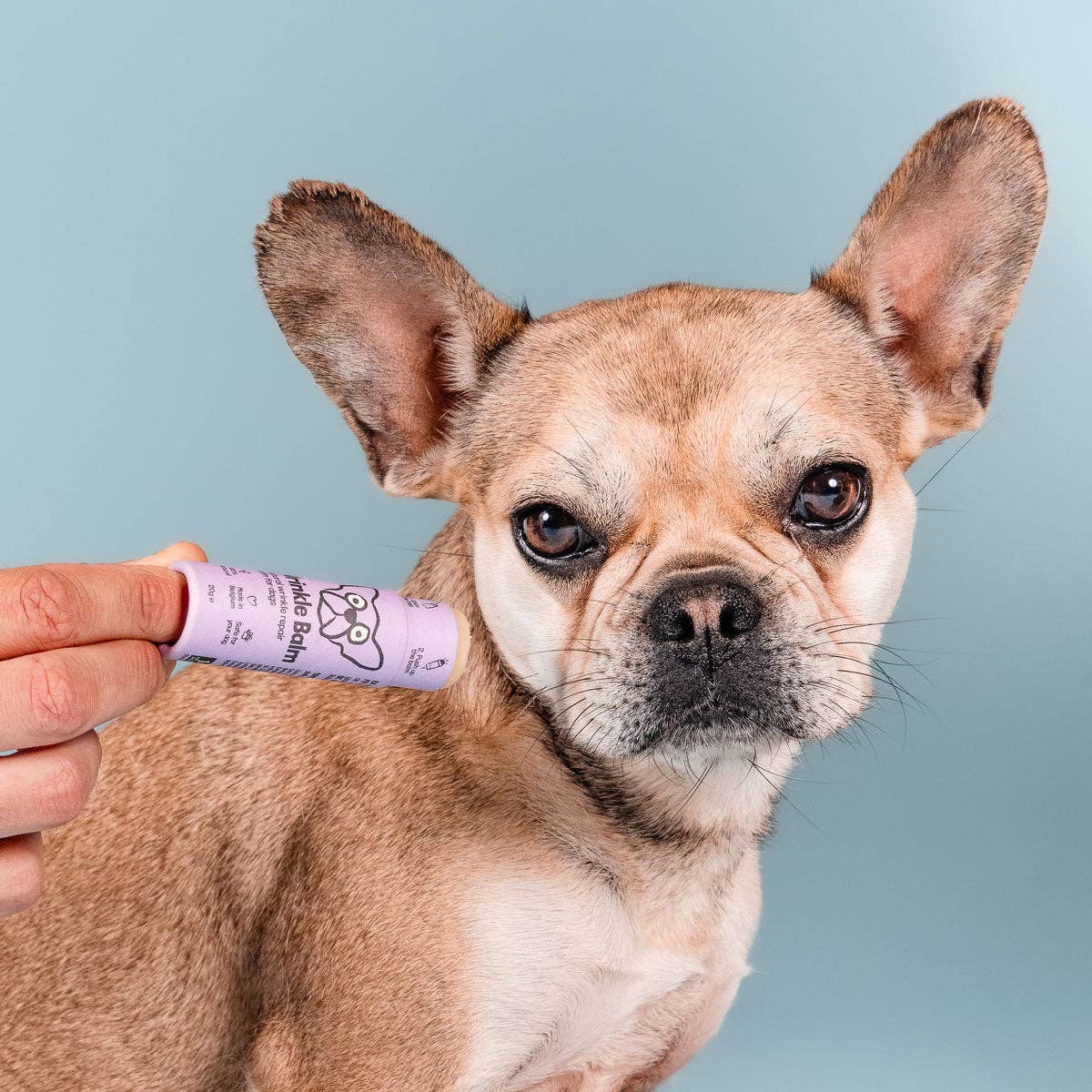 Faltenbalsam-Stift für Hunde