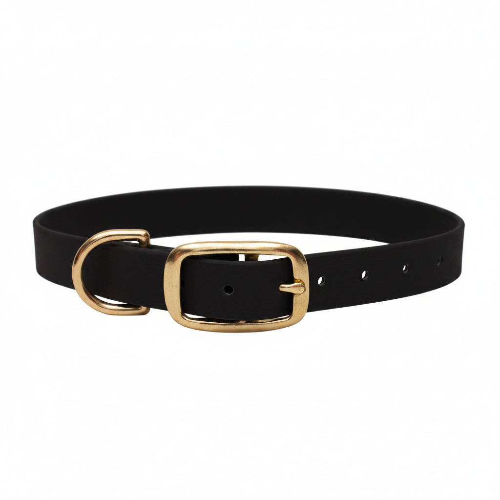 Biothane Halsband, Farbe Black in schwarz mit goldenem Verschluss