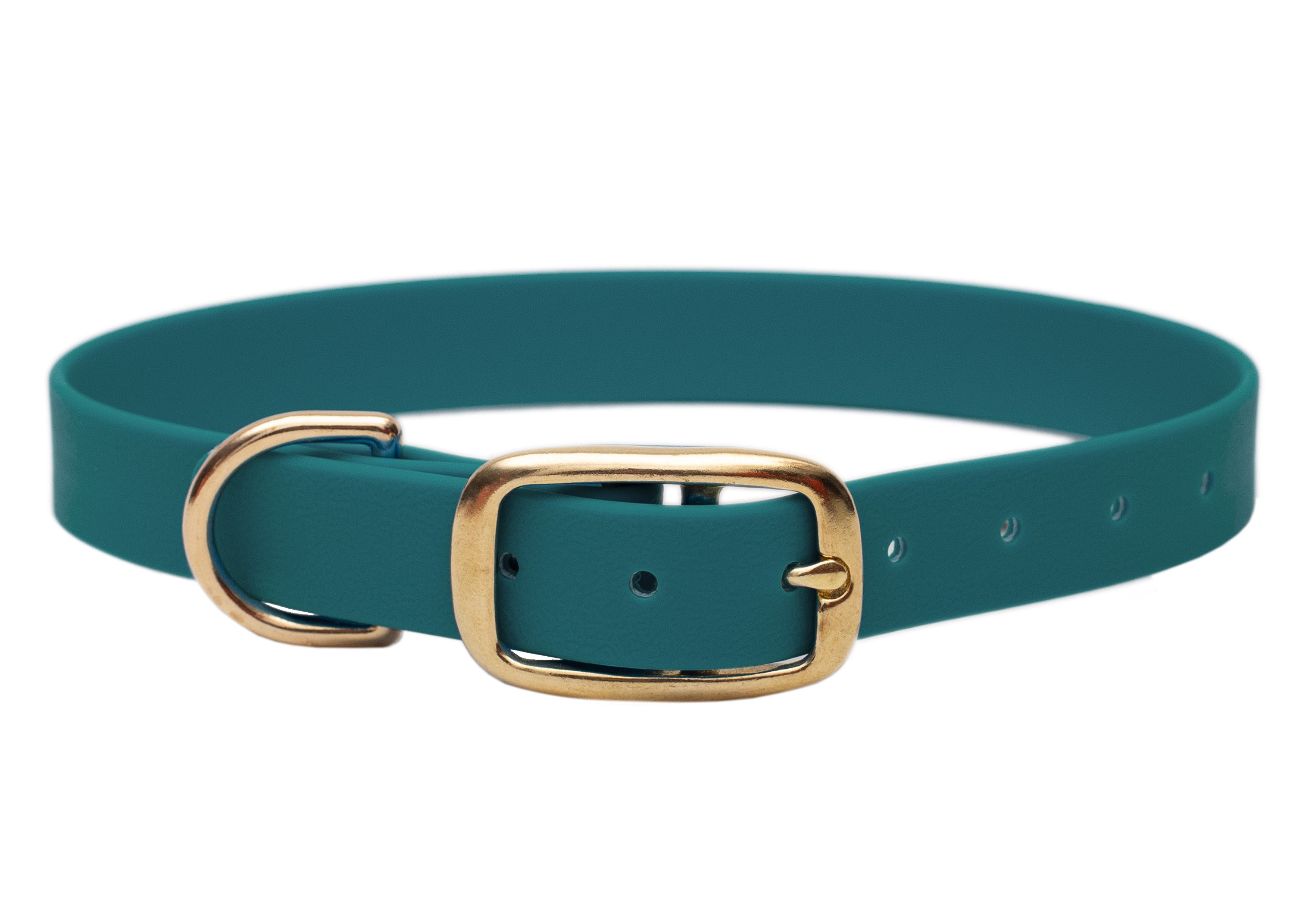 Biothane Halsband für Hunde, Modell Green, dunkles Grün, Verschlussfarbe Gold