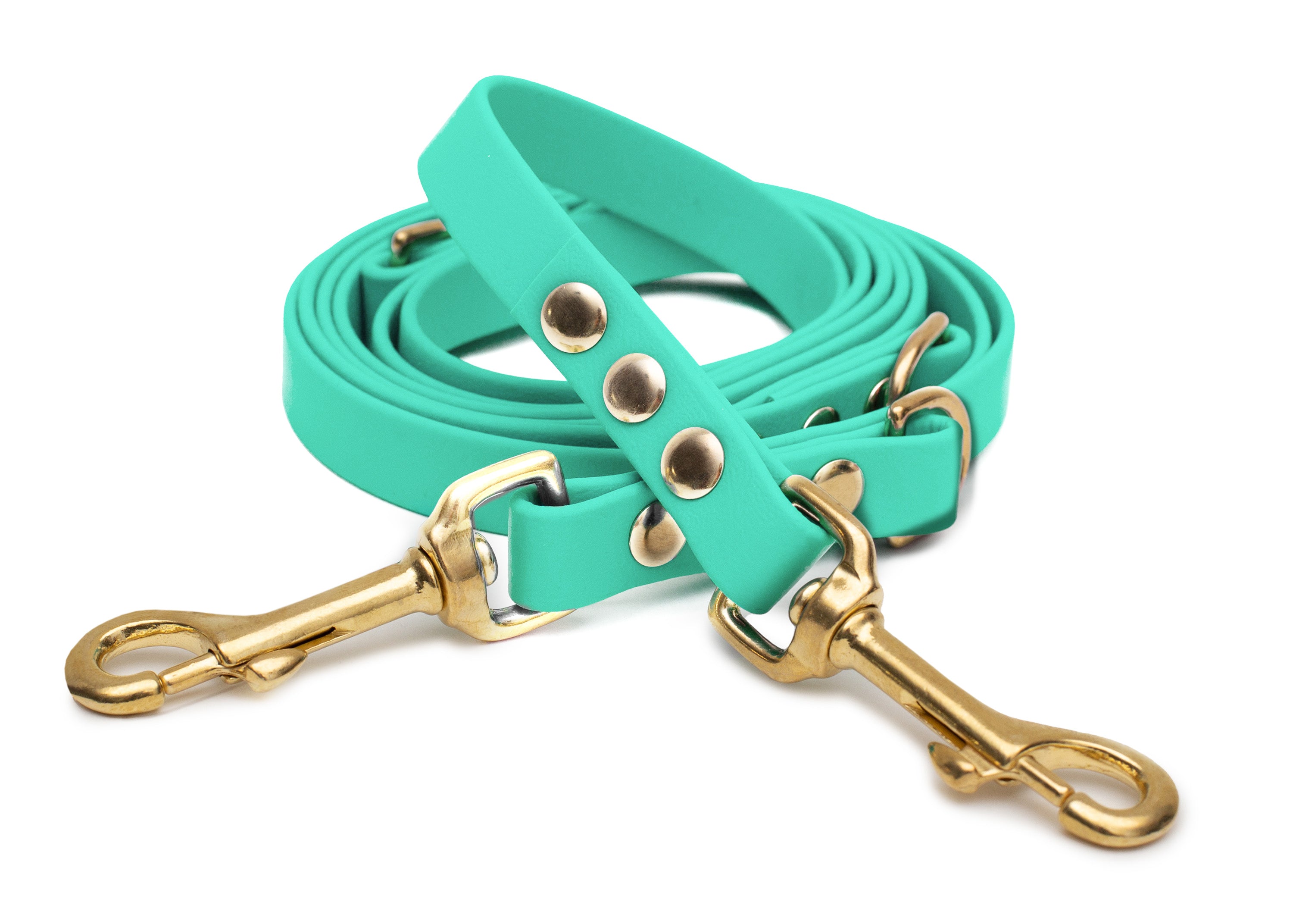 EMMY & PEPE Hundeleine Biothane Mintgrün mit Bolzenkarabiner Gold