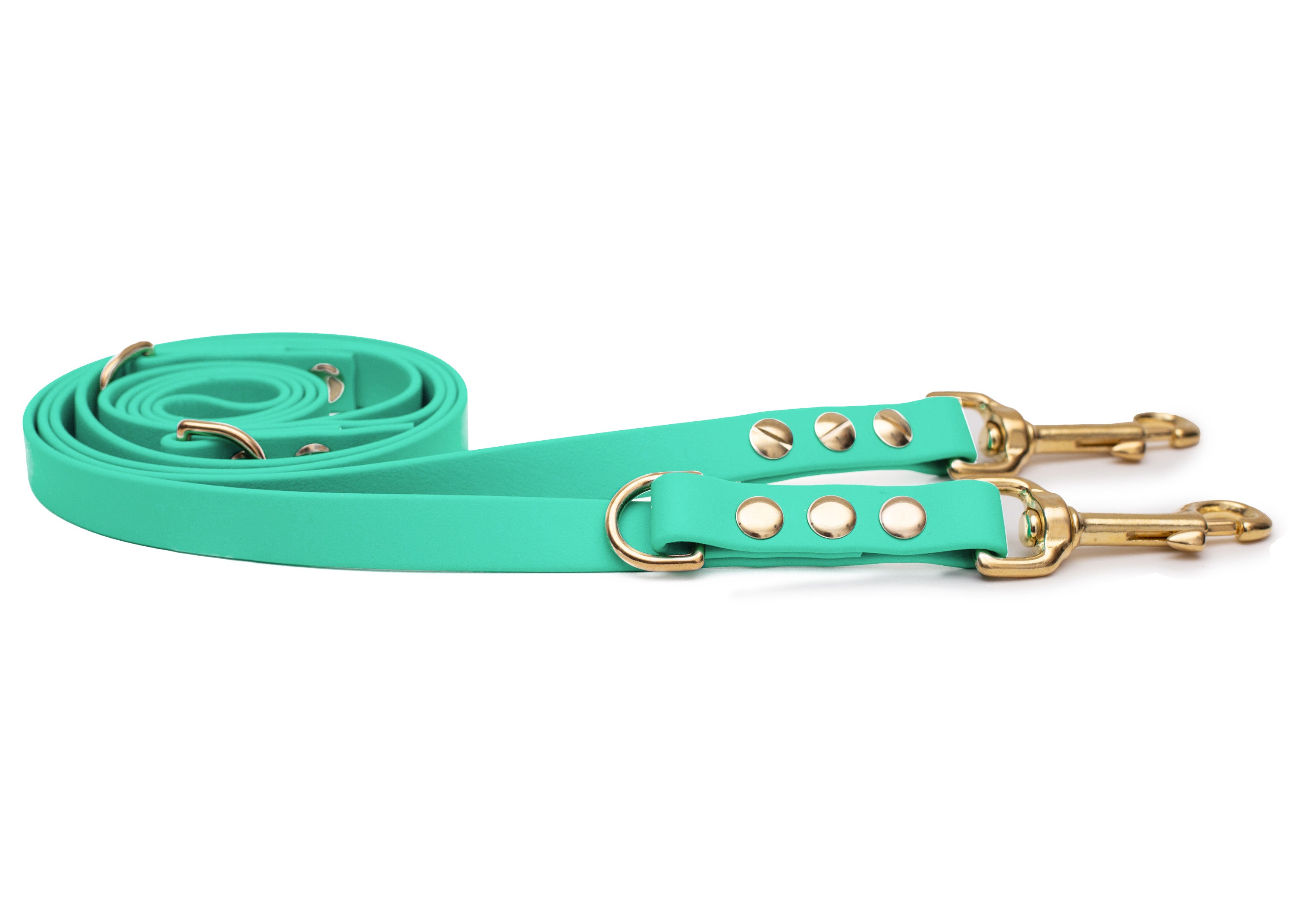 EMMY & PEPE Hundeleine Biothane Mintgrün mit Bolzenkarabiner Gold