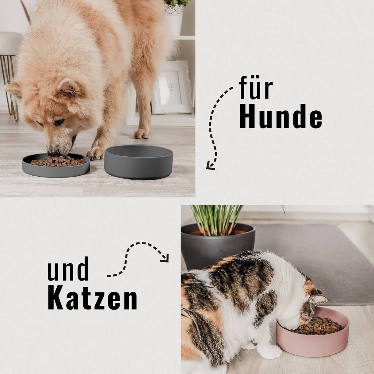 Silikon-Futternapf für Hunde und Katzen im Alltag