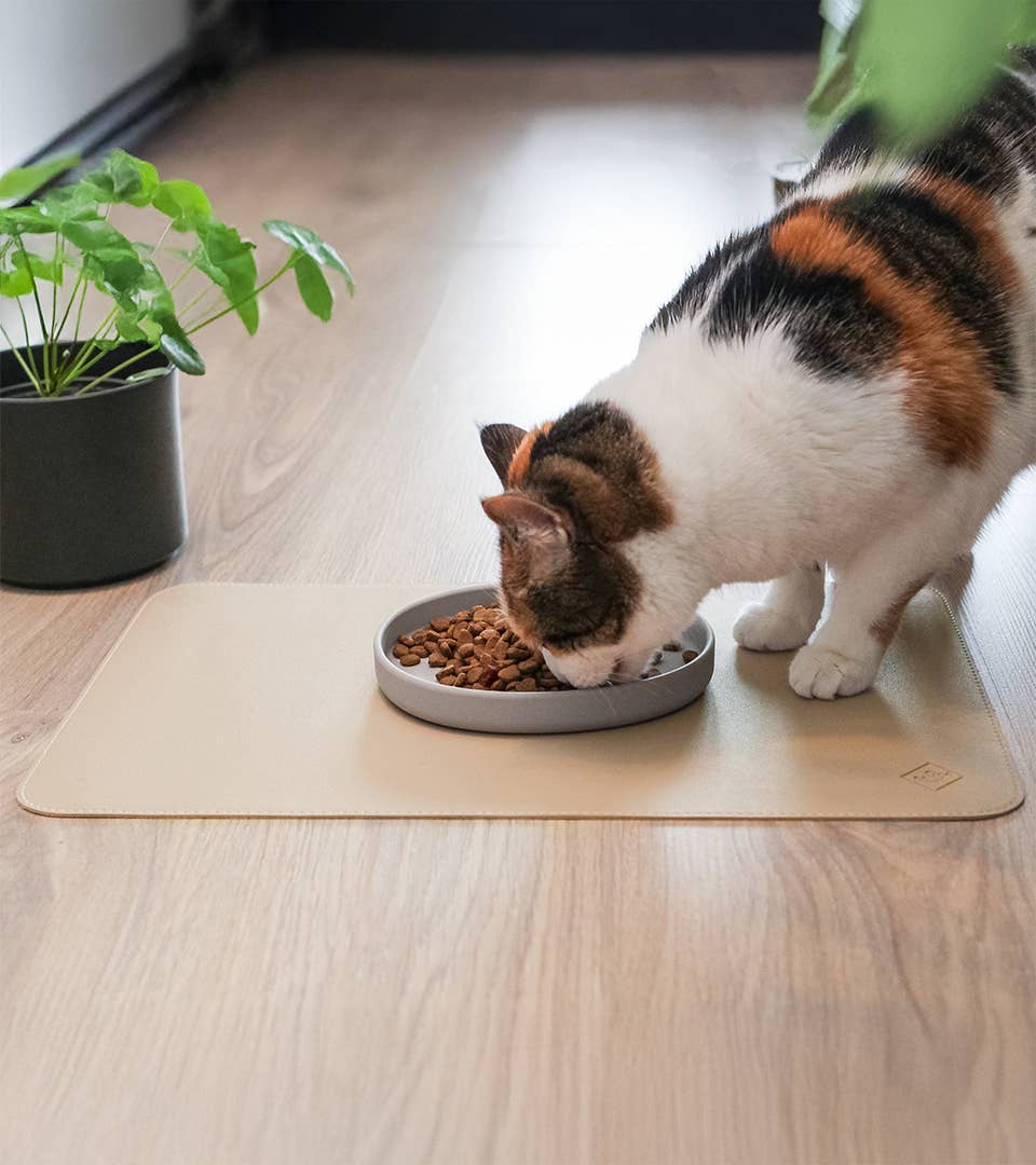 Napfunterlage aus veganem Leder im Alltag mit einer Katze