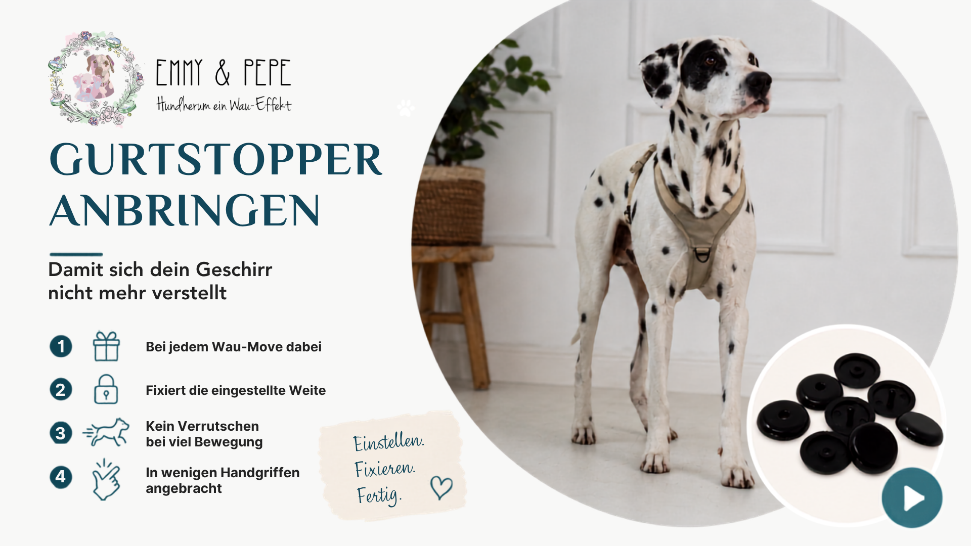 Video laden: Video: Schritt-für-Schritt-Anleitung zum Anbringen der Gurtbandstopper am Wau-Move Geschirr – Pin durch den Gurt drücken, Gegenstück aufsetzen und die eingestellte Weite dauerhaft fixieren, bei Bedarf wieder lösbar.