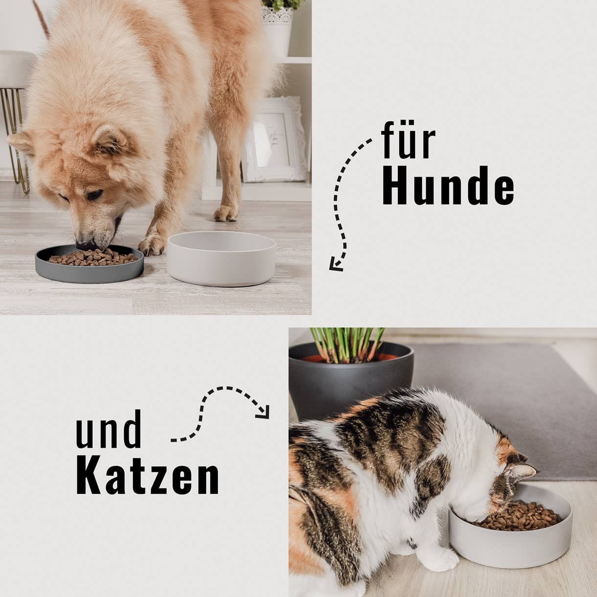 Futternapf aus Silikon für Hunde und Katzen