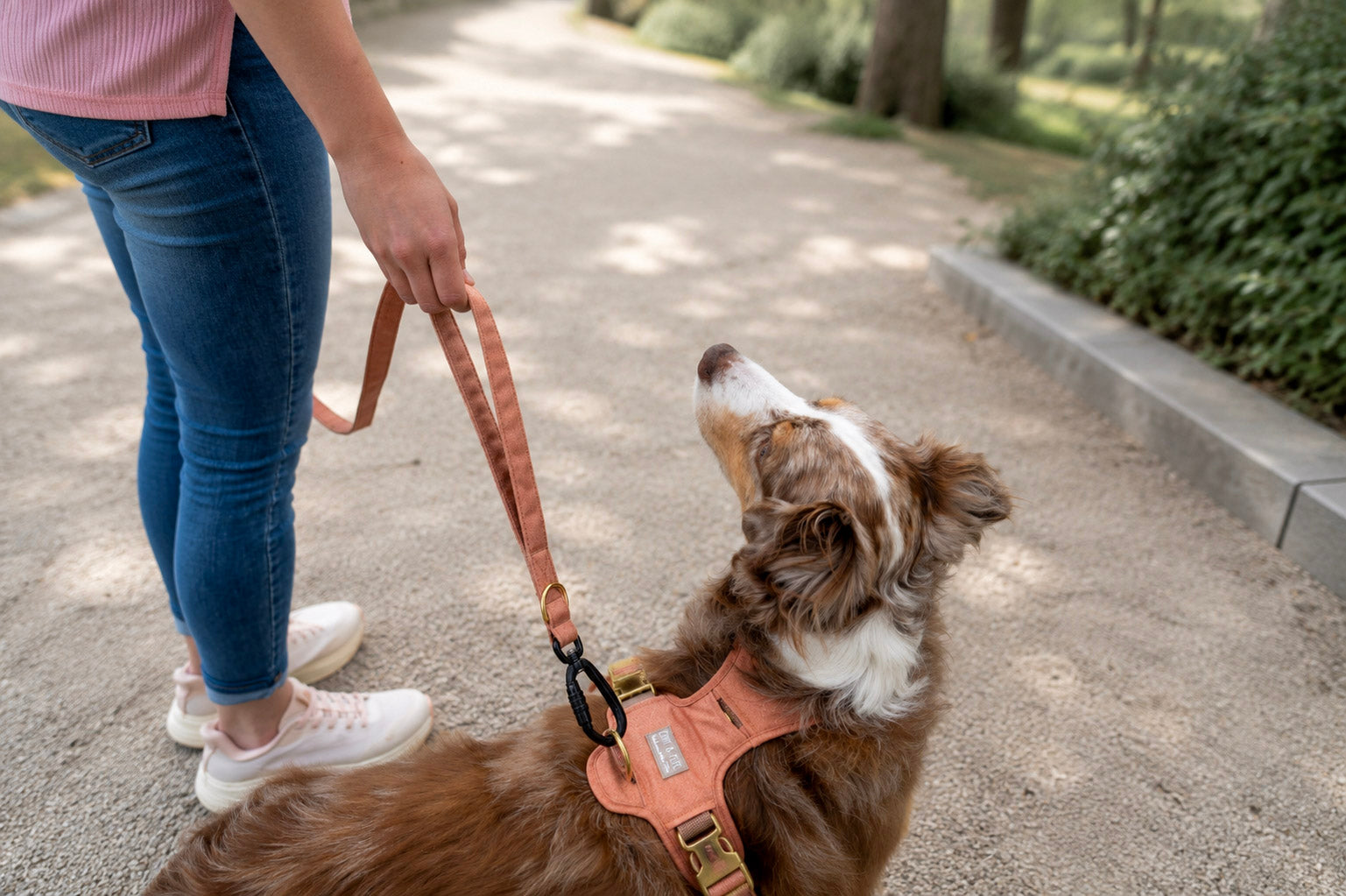Hund wird mit der Hundeleine mit integriertem Kurzführer von EMMY & PEPE sicher geführt. Der Kurzführer ermöglicht schnelle Kontrolle bei Hundebegegnungen und im Alltag.