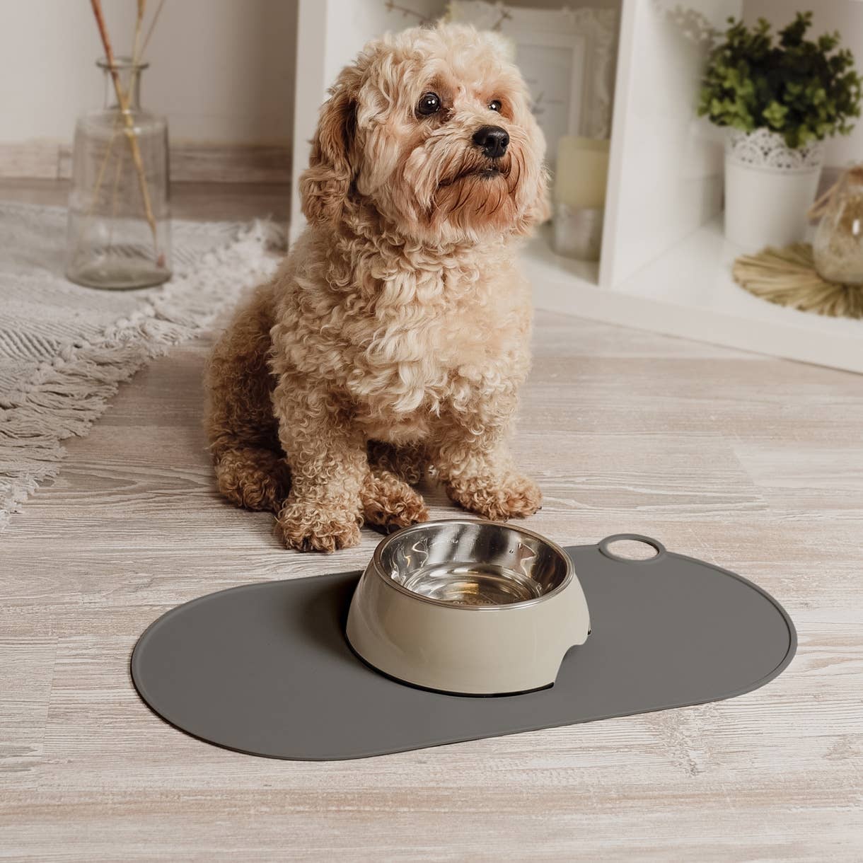 Moderne Napfunterlage aus Silikon im Einsatz mit Hund