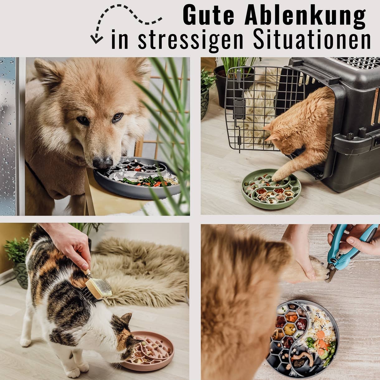 Schleckmatte sorgt für Beschäftigung und Entspannung bei Hunden und Katzen.
