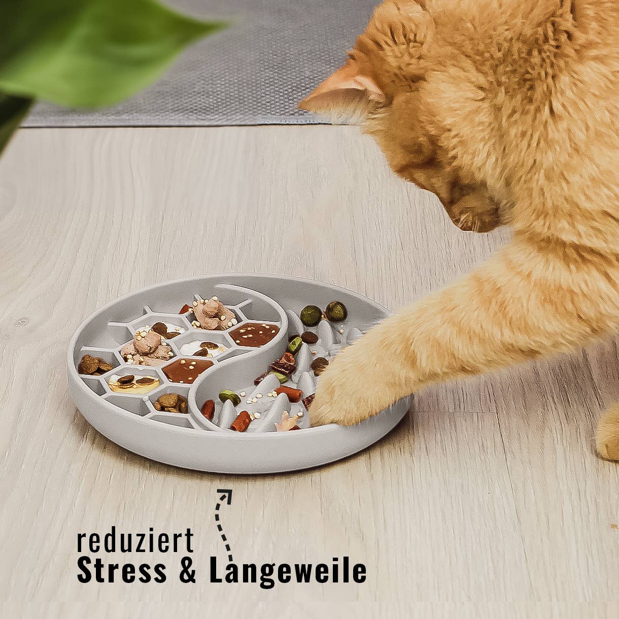 Schleckmatte reduziert Stress und Langeweile bei Katzen und Hunden.
