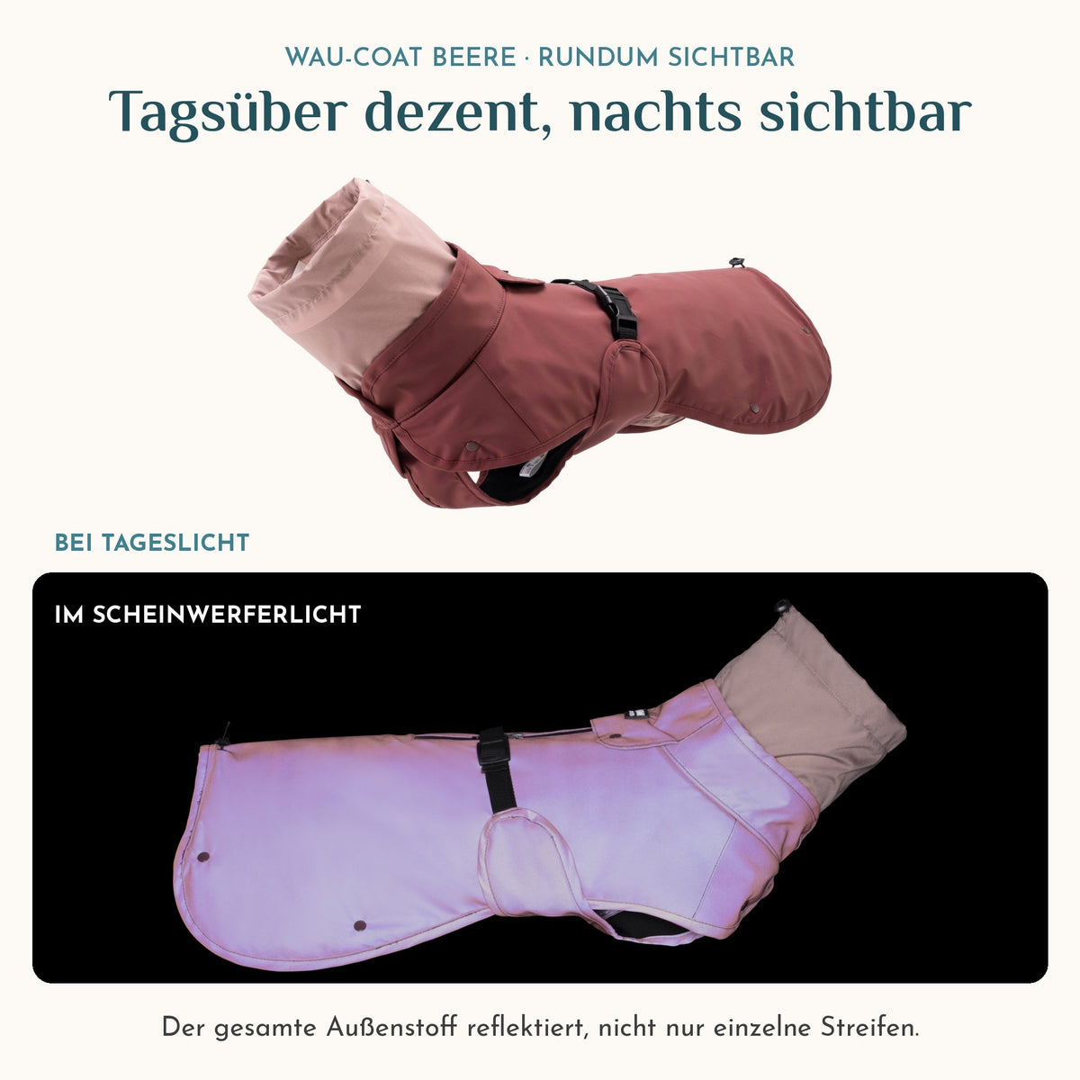 Wau-Coat Beere bei Tageslicht und im Scheinwerferlicht: Der gesamte Außenstoff reflektiert
