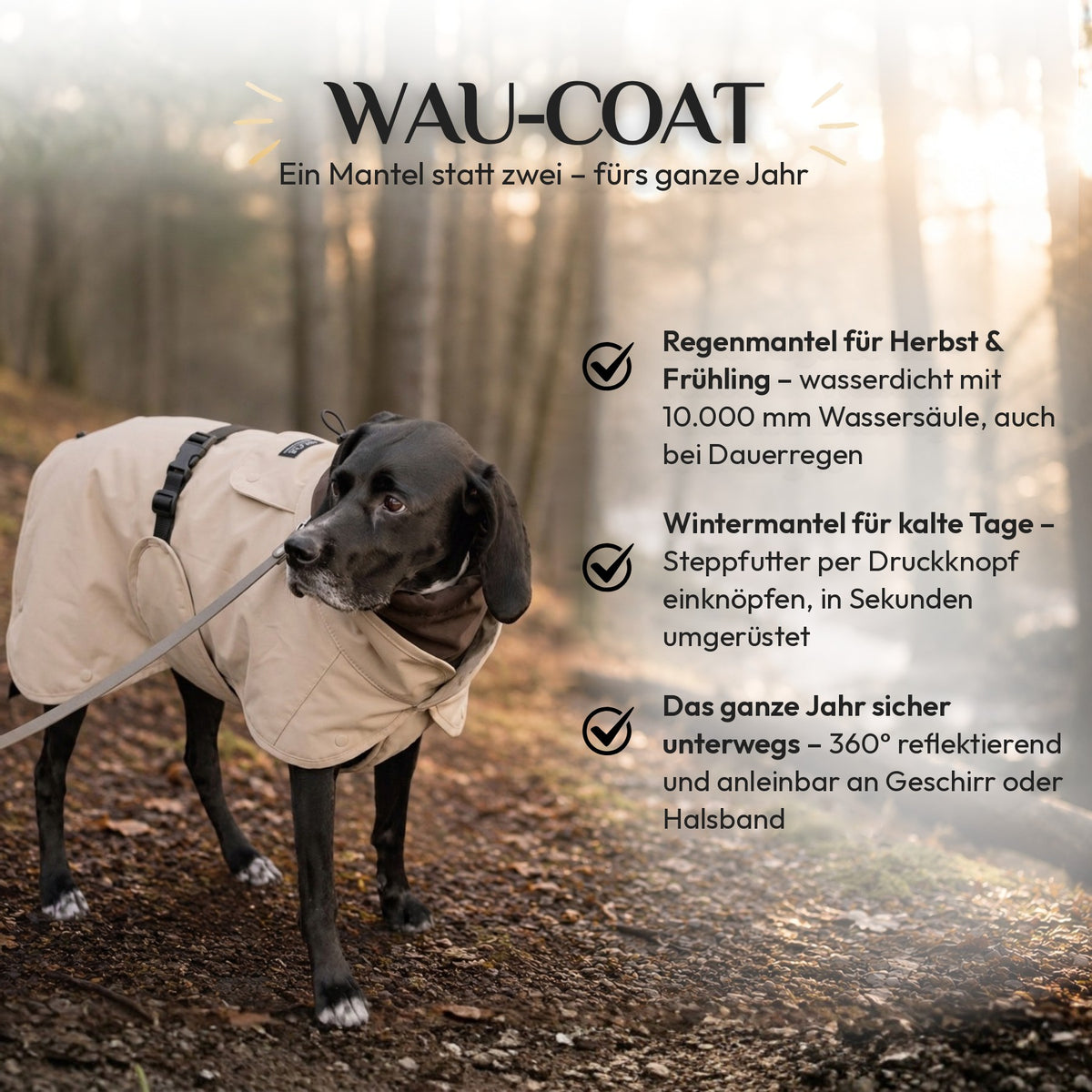 Hund im Wau-Coat Taupe im Wald – ein Hundemantel als Regenmantel und Wintermantel fürs ganze Jahr