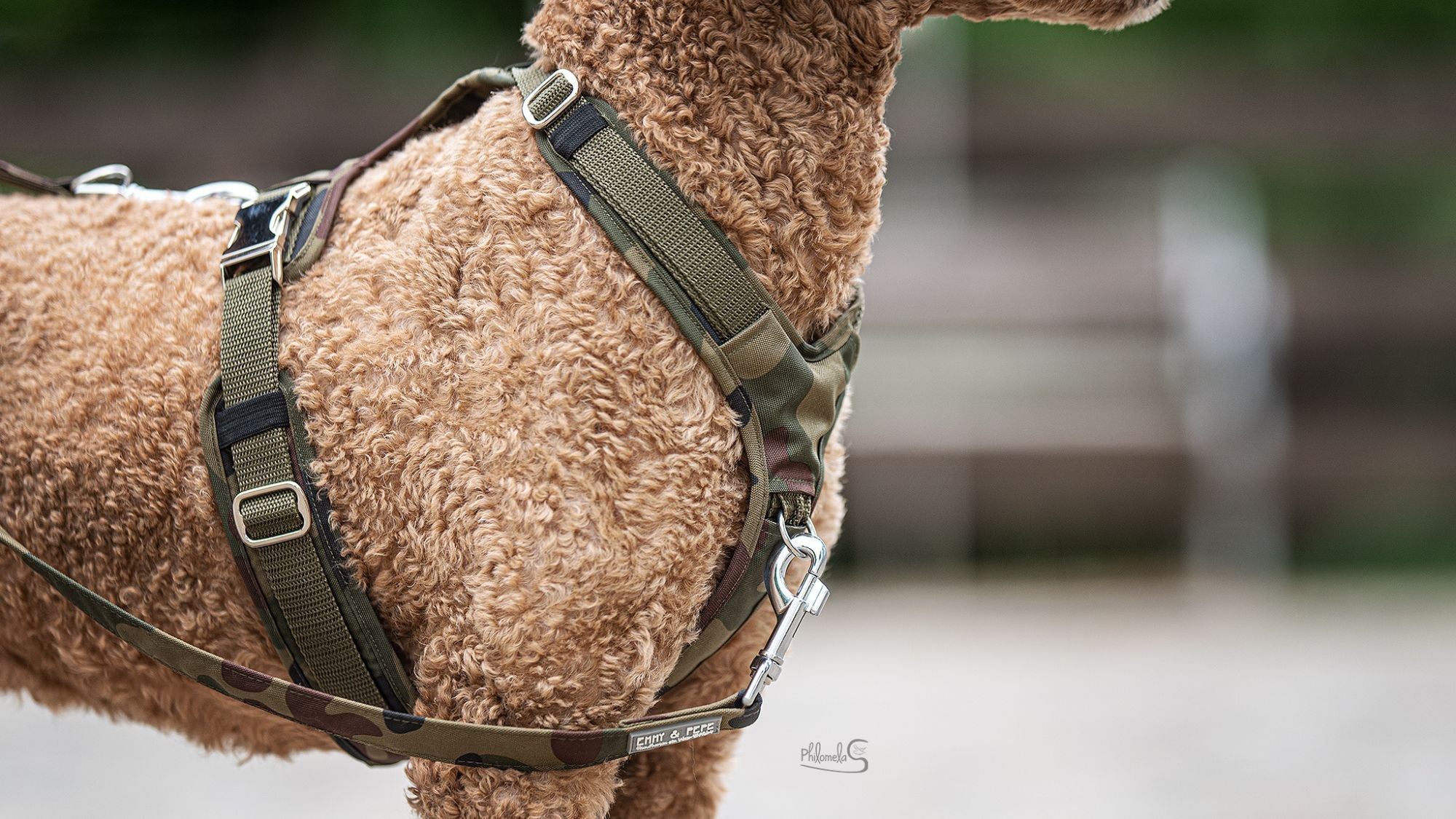 Hundegeschirr