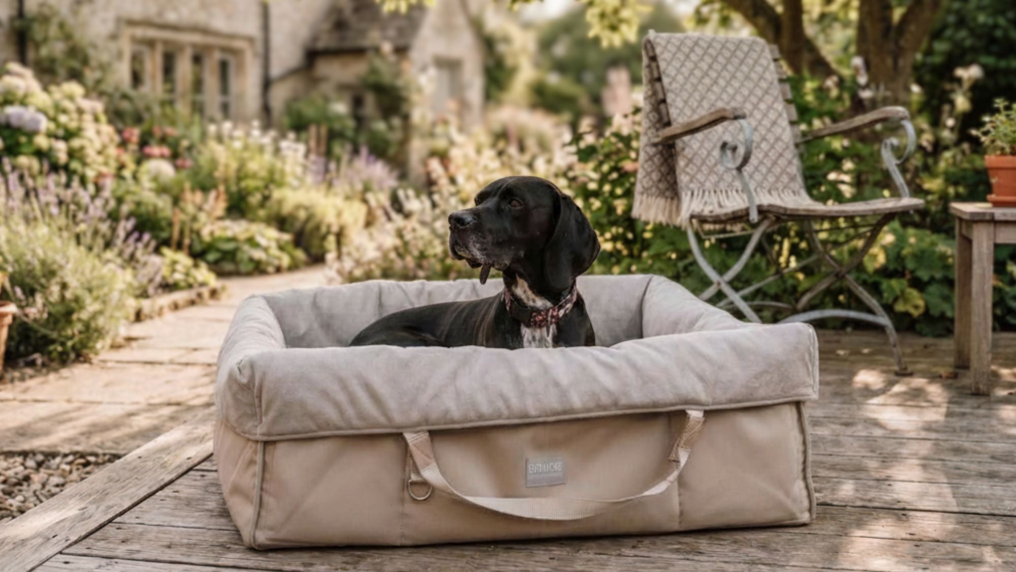 Kategorie Reisekörbchen für Hunde Wau-Snuggle 
