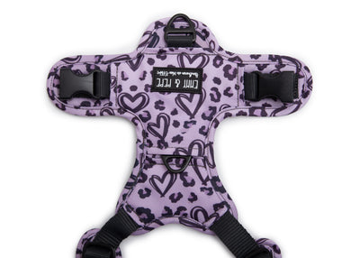 Hundegeschirr Heart